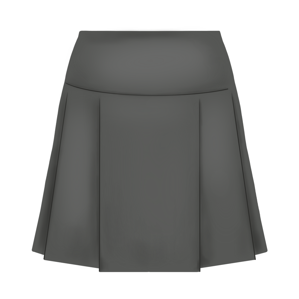 NEW SKIRT copy.png