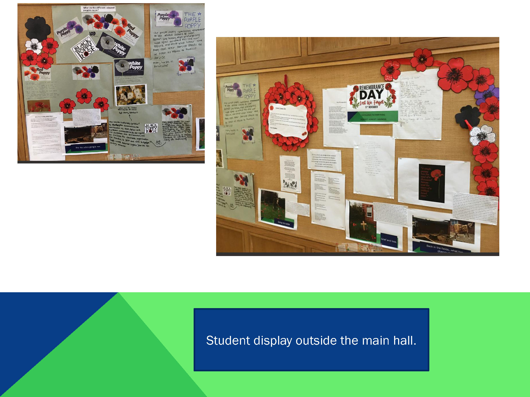 Photos of display and students work_Page_12.png