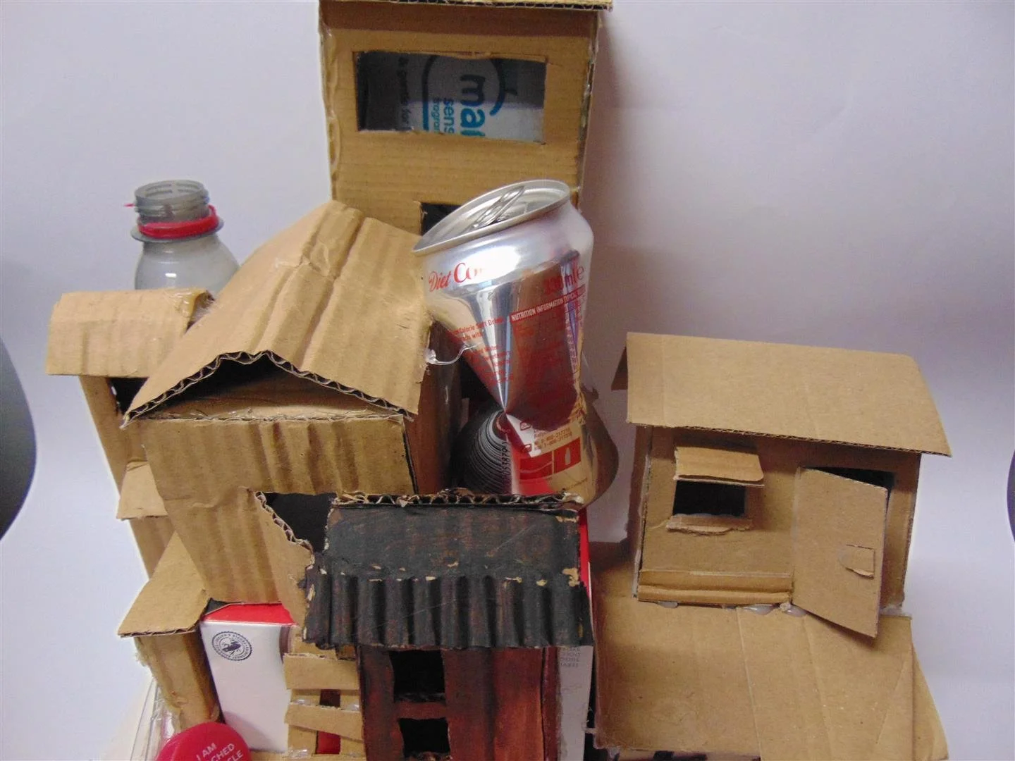 DSC00478 (Large).JPG