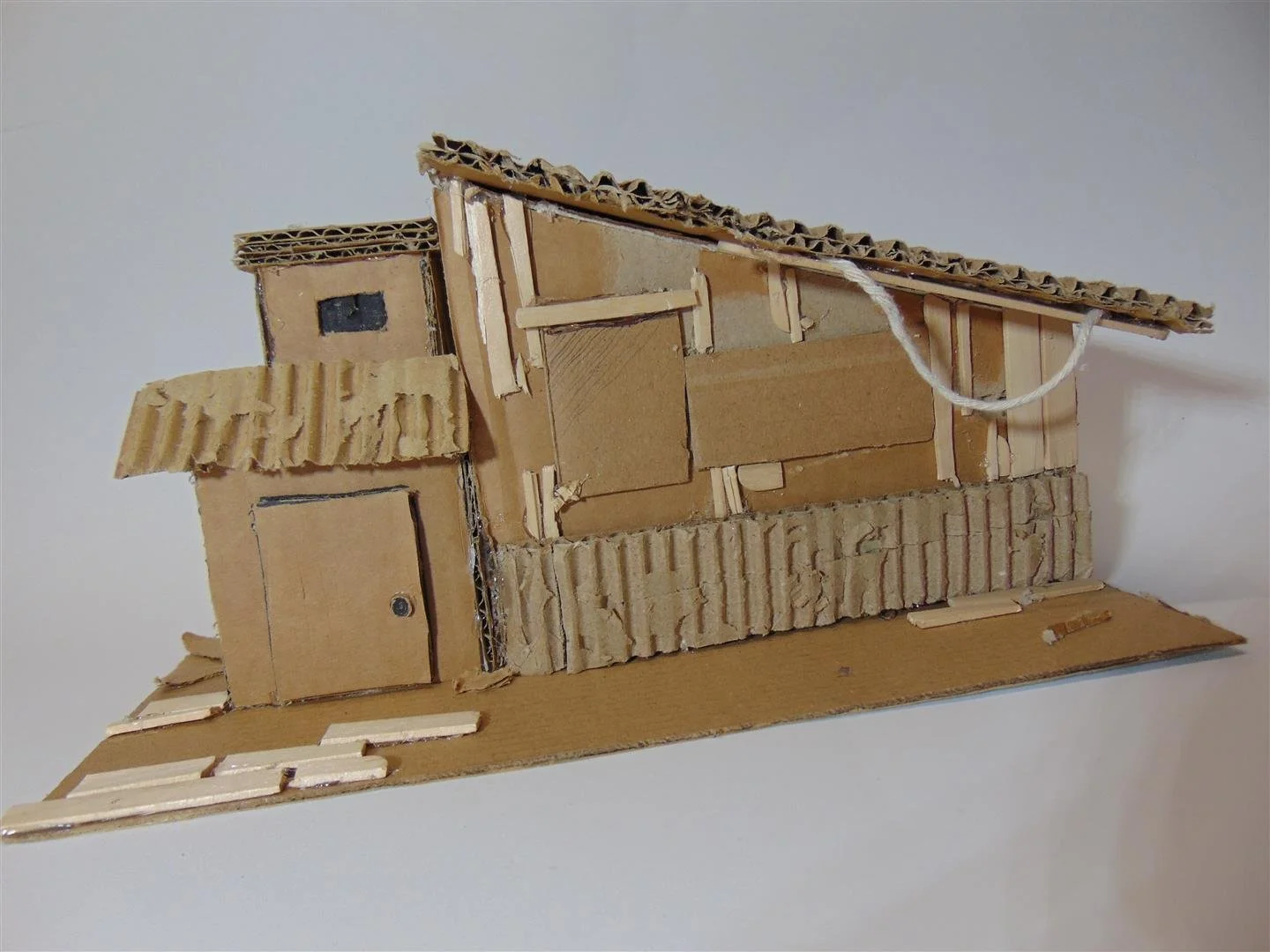 DSC00502 (Large).JPG