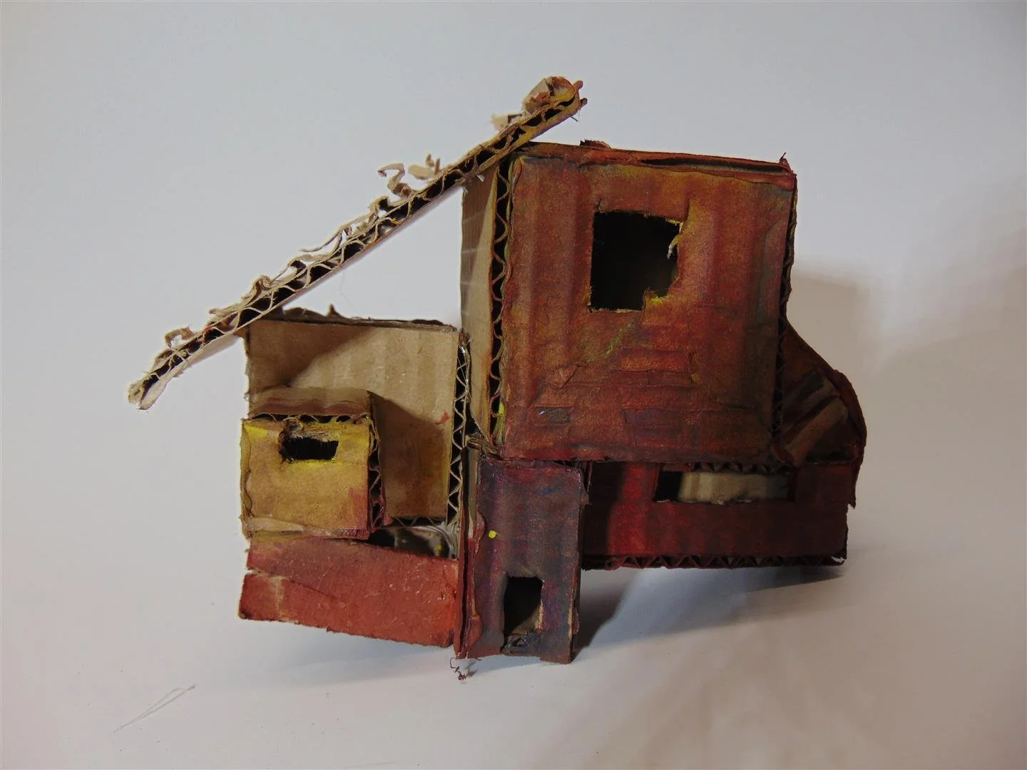 DSC00505 (Large).JPG