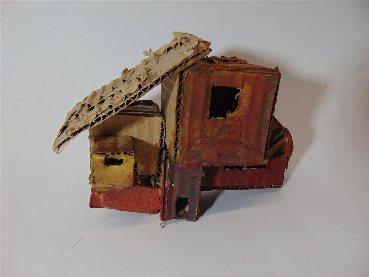 DSC00508 (Large).JPG