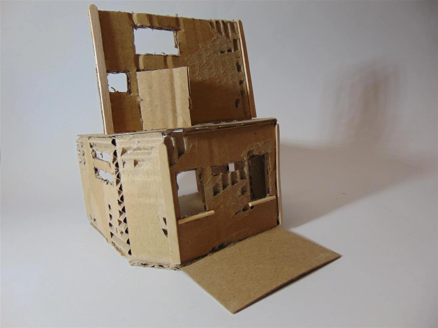 DSC00514 (Large).JPG