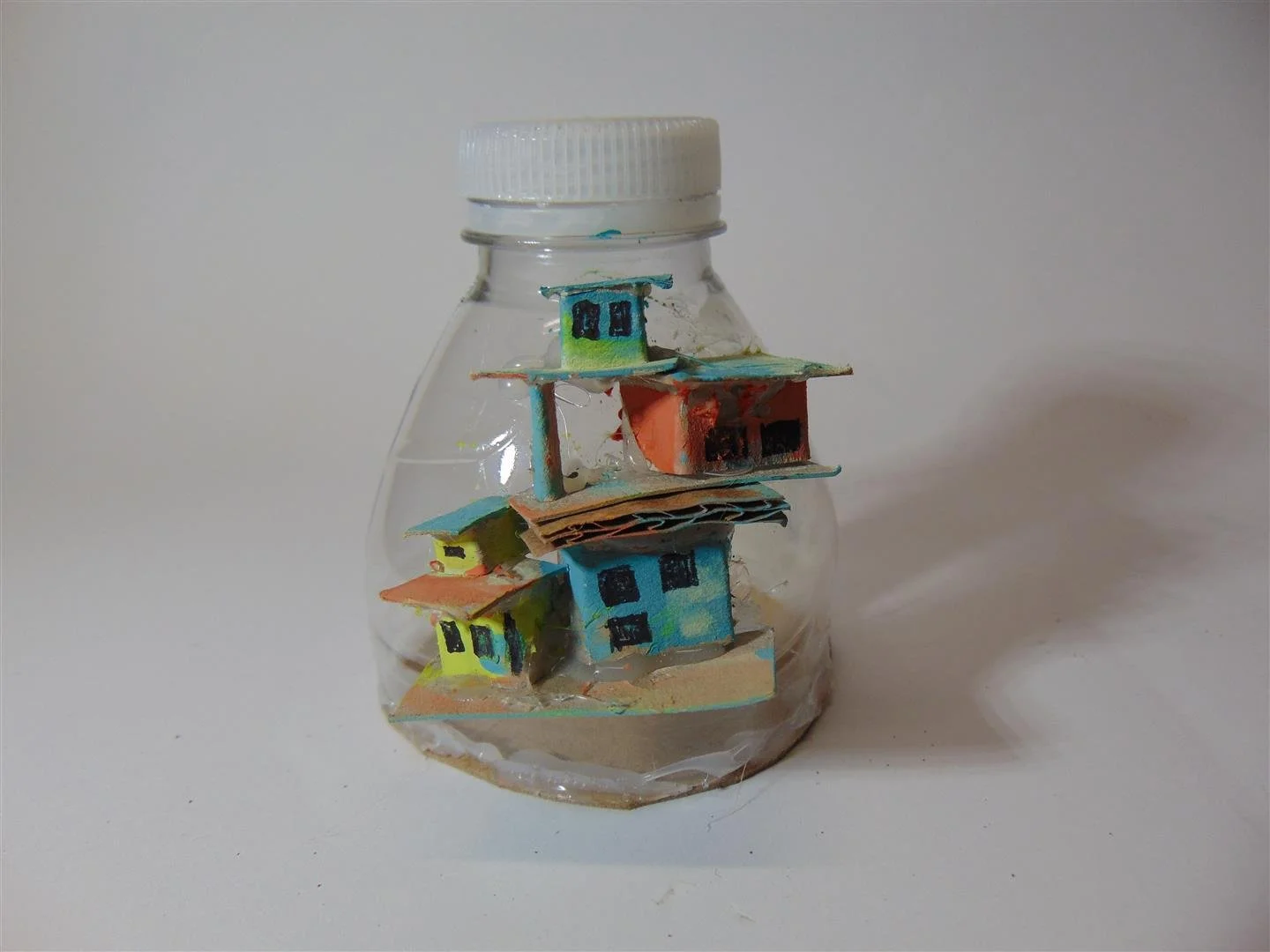 DSC00516 (Large).JPG