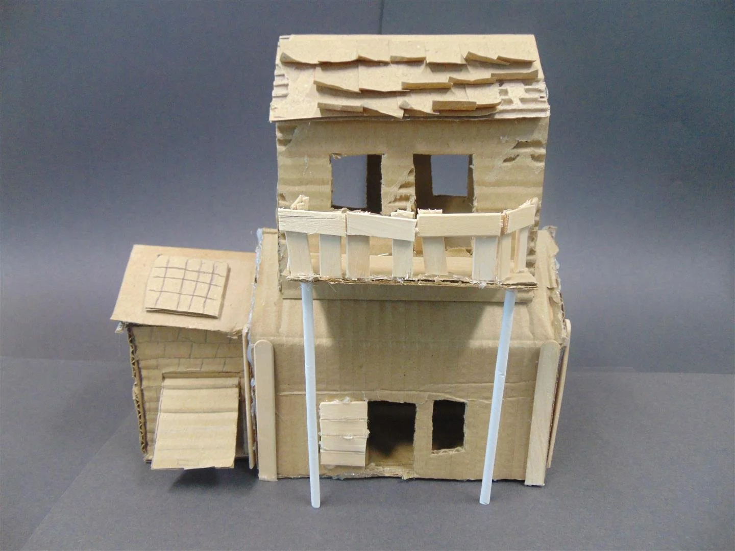 DSC01287 (Large).JPG