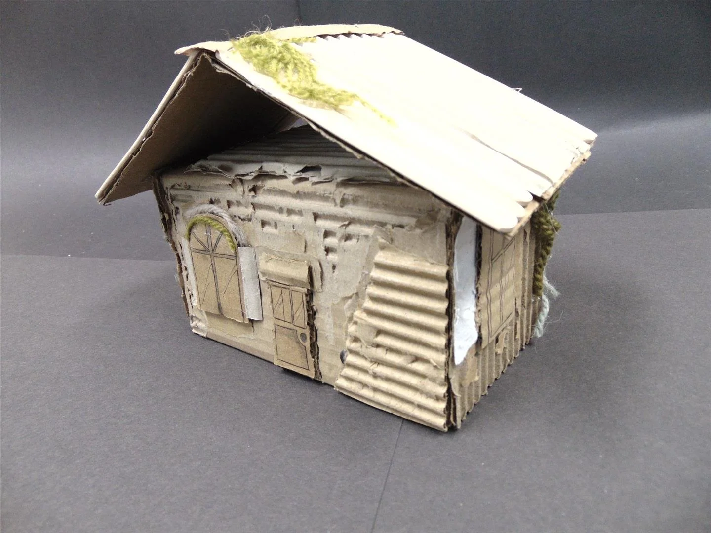 DSC01394 (Large).JPG