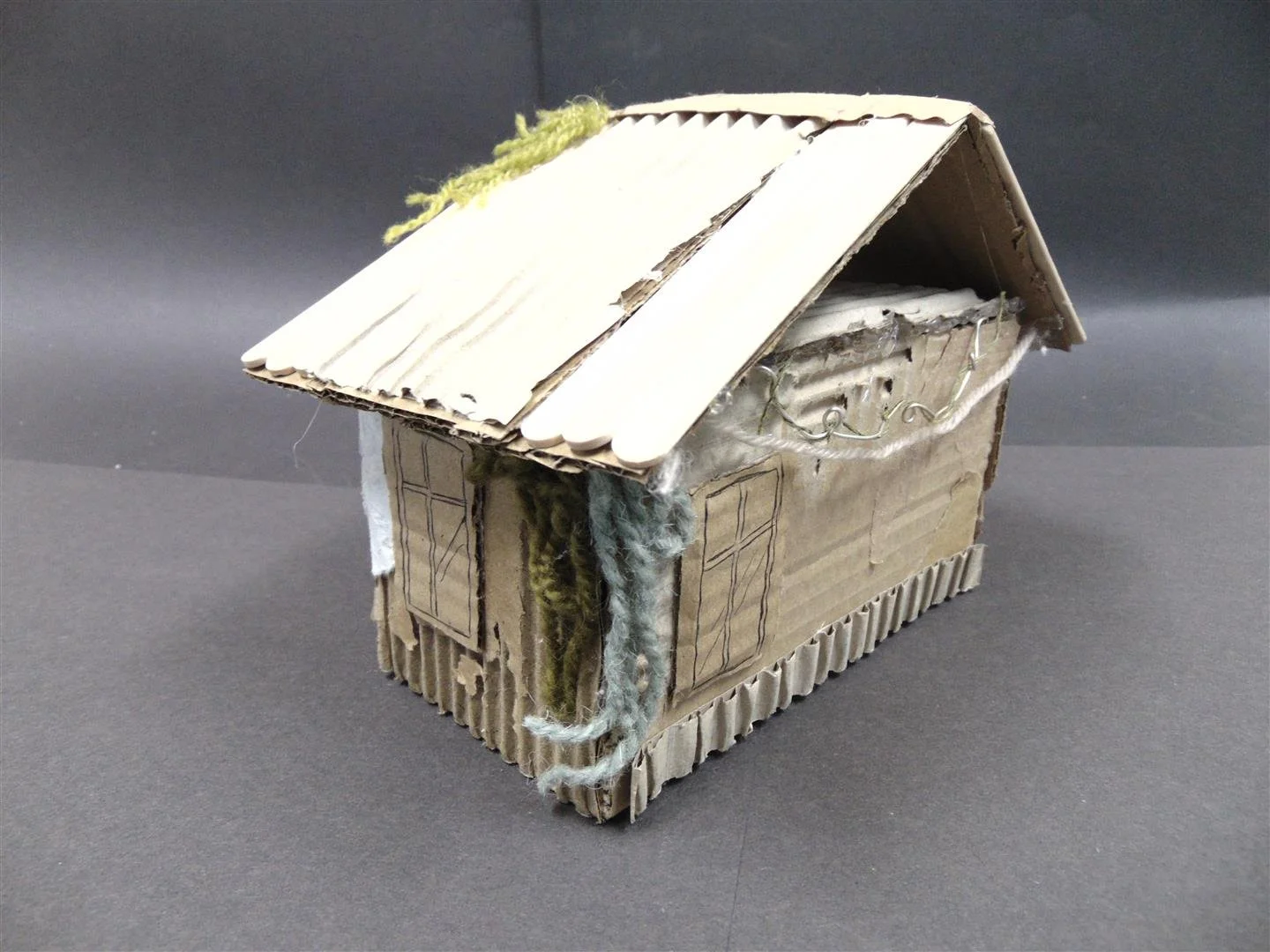 DSC01395 (Large).JPG