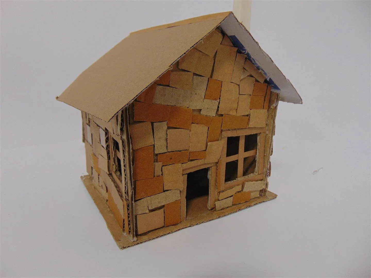 DSC03343 (Large).JPG