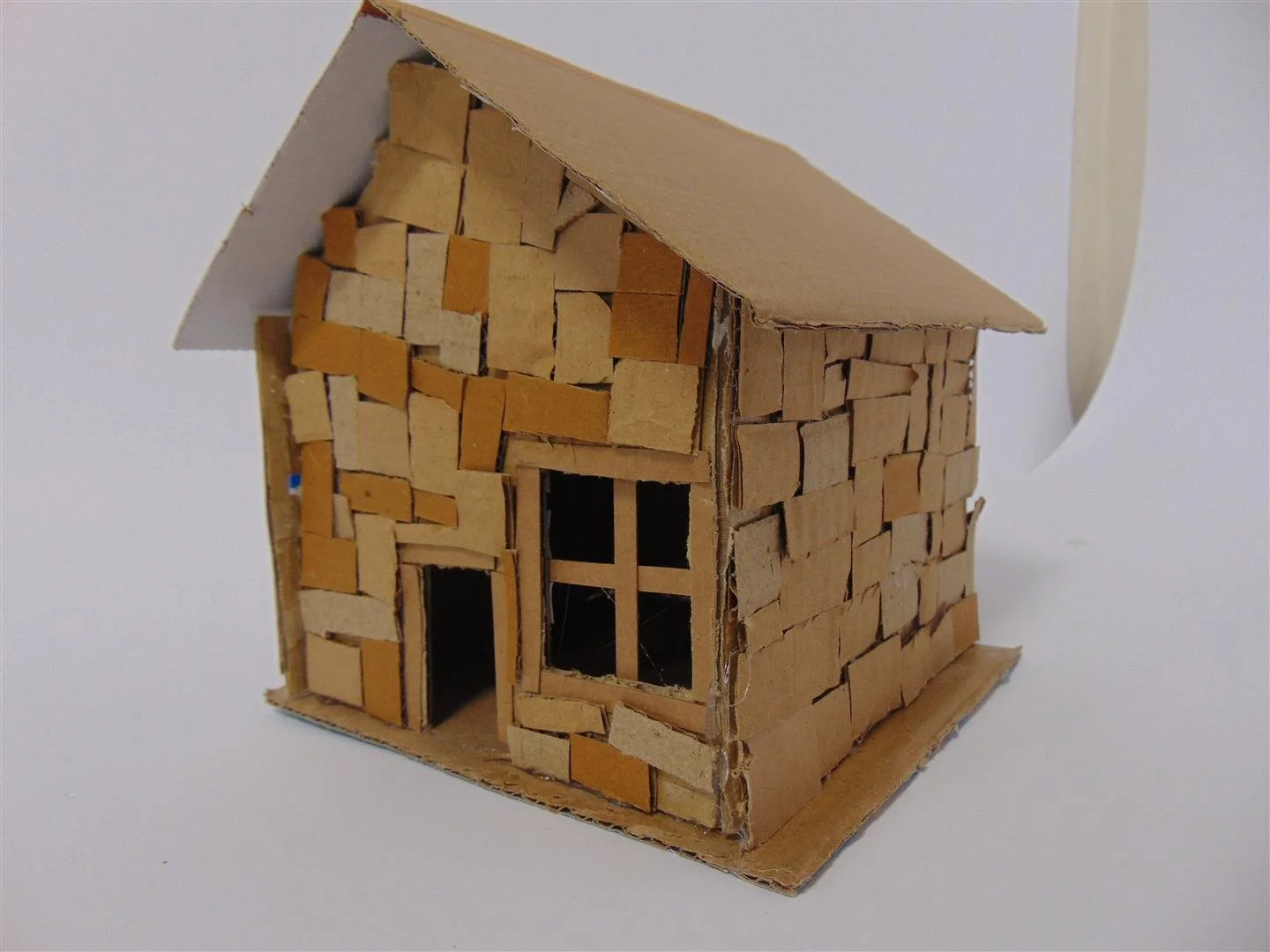 DSC03344 (Large).JPG