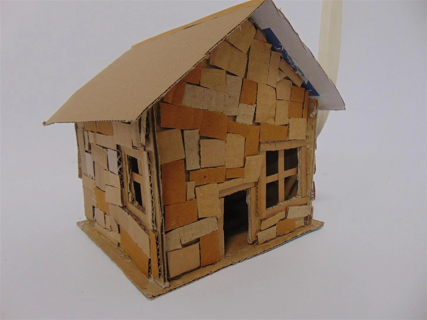 DSC03346 (Large).JPG