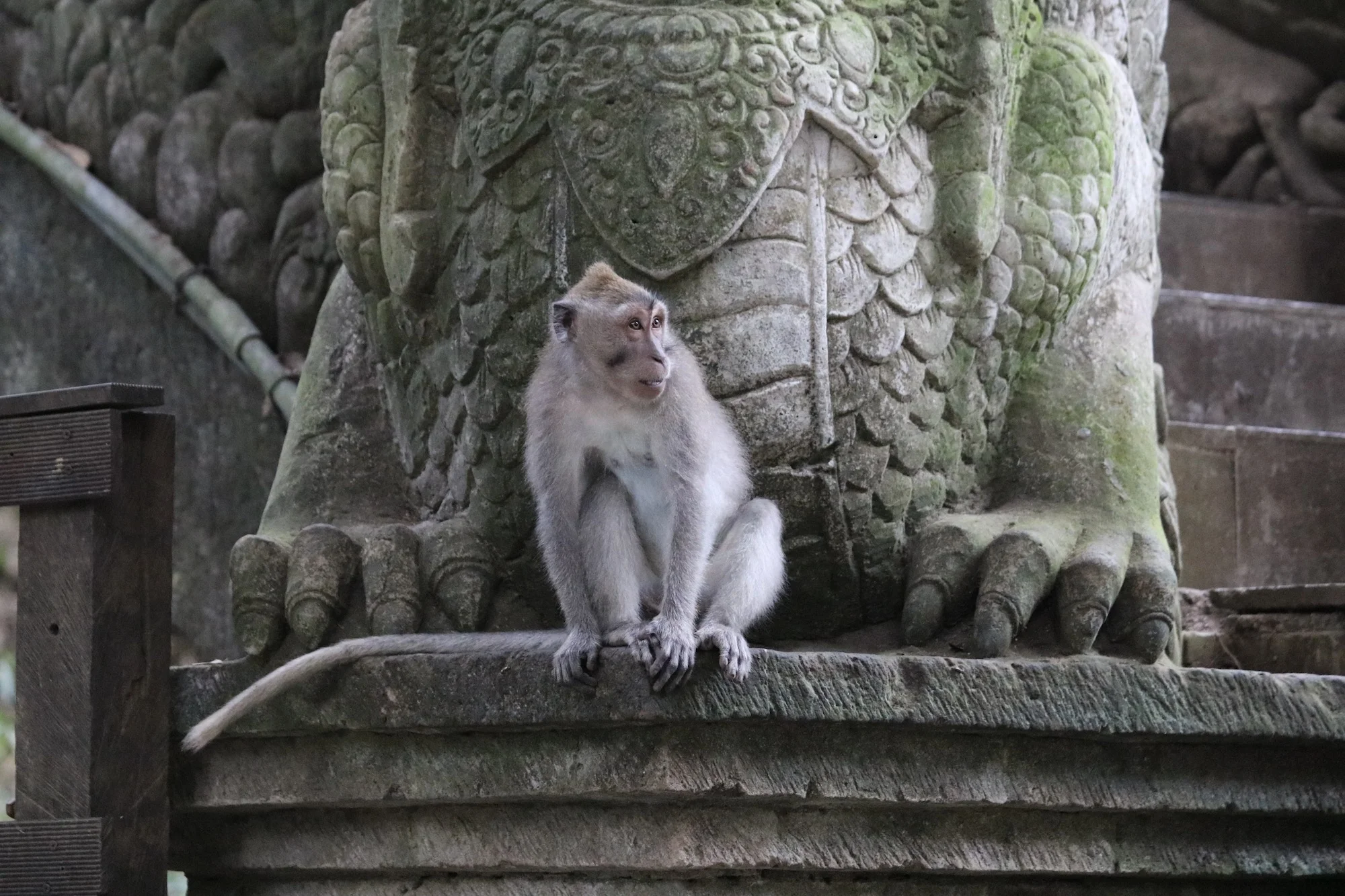 The Temples
