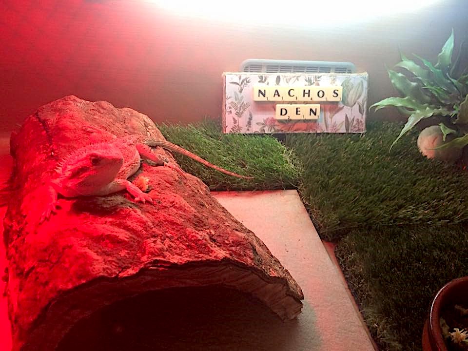 Nacho's Den