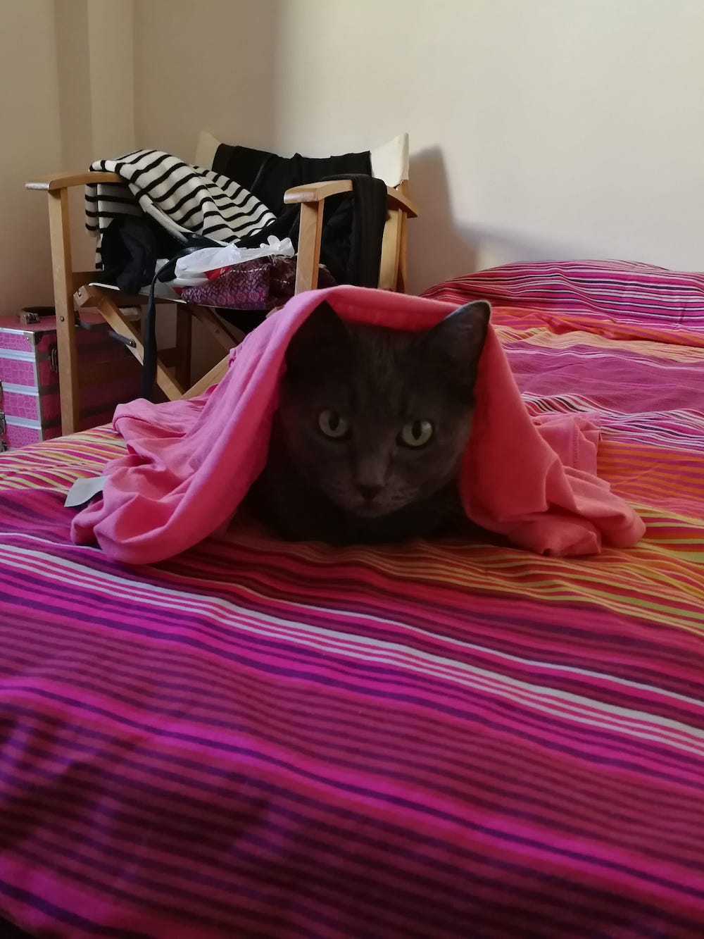 Mitzi