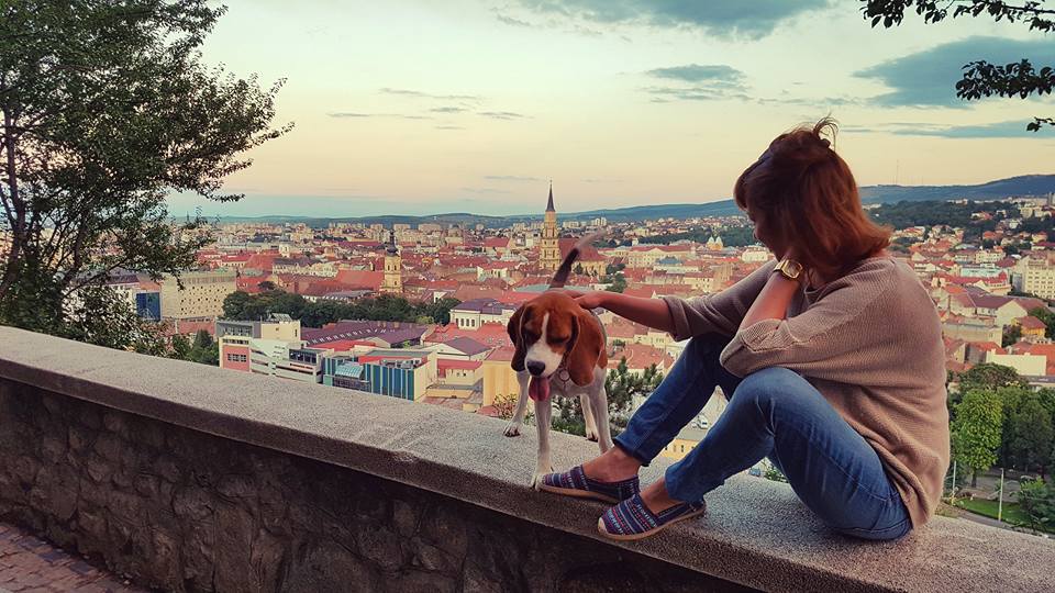 The travel addict