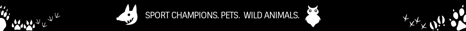 champions-pets-wild-animals.jpg