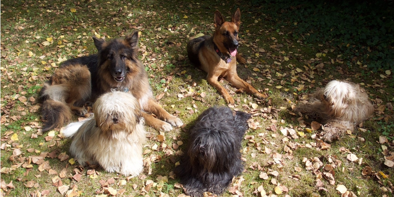 Bobby & his friends