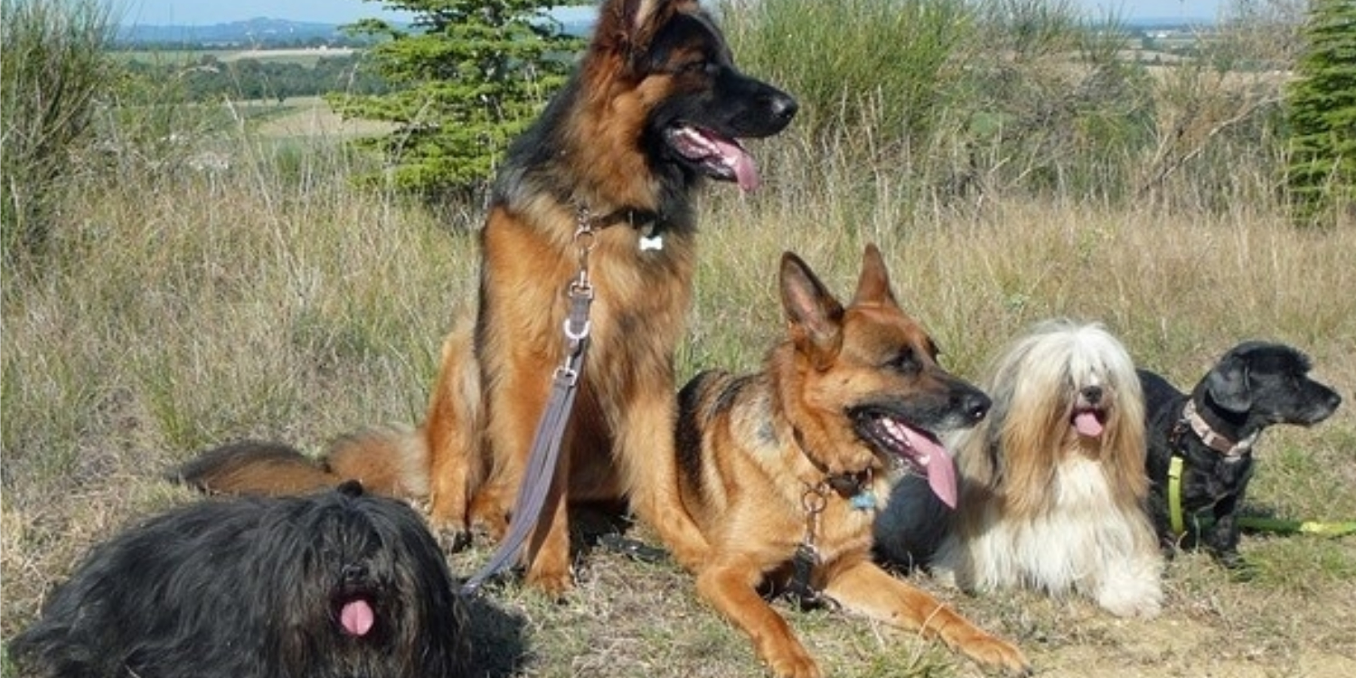 Bobby & his friends