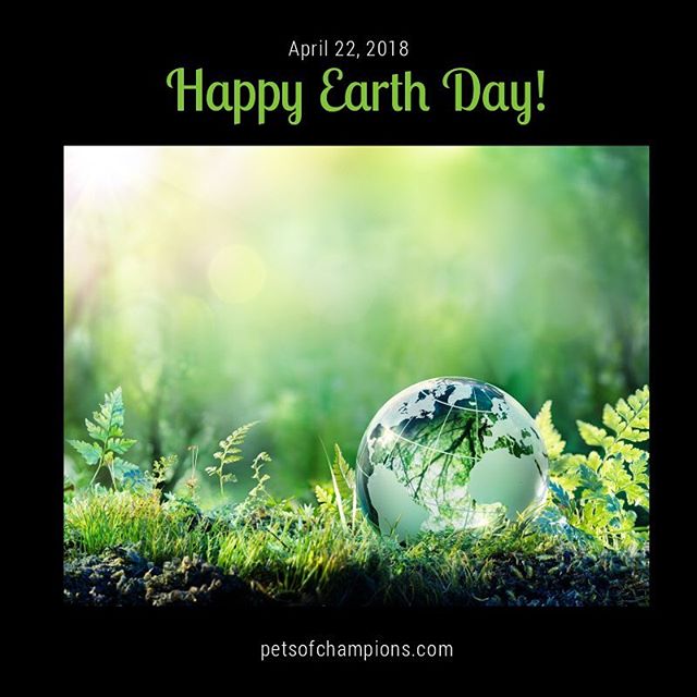 Happy Earth Day to all our friends from around the world! Let&rsquo;s raise together awareness about the environmental issues facing our planet. Coordinated by Earth Day Network, the movement&rsquo;s main goal is to&nbsp;&ldquo;build the world&rsquo;