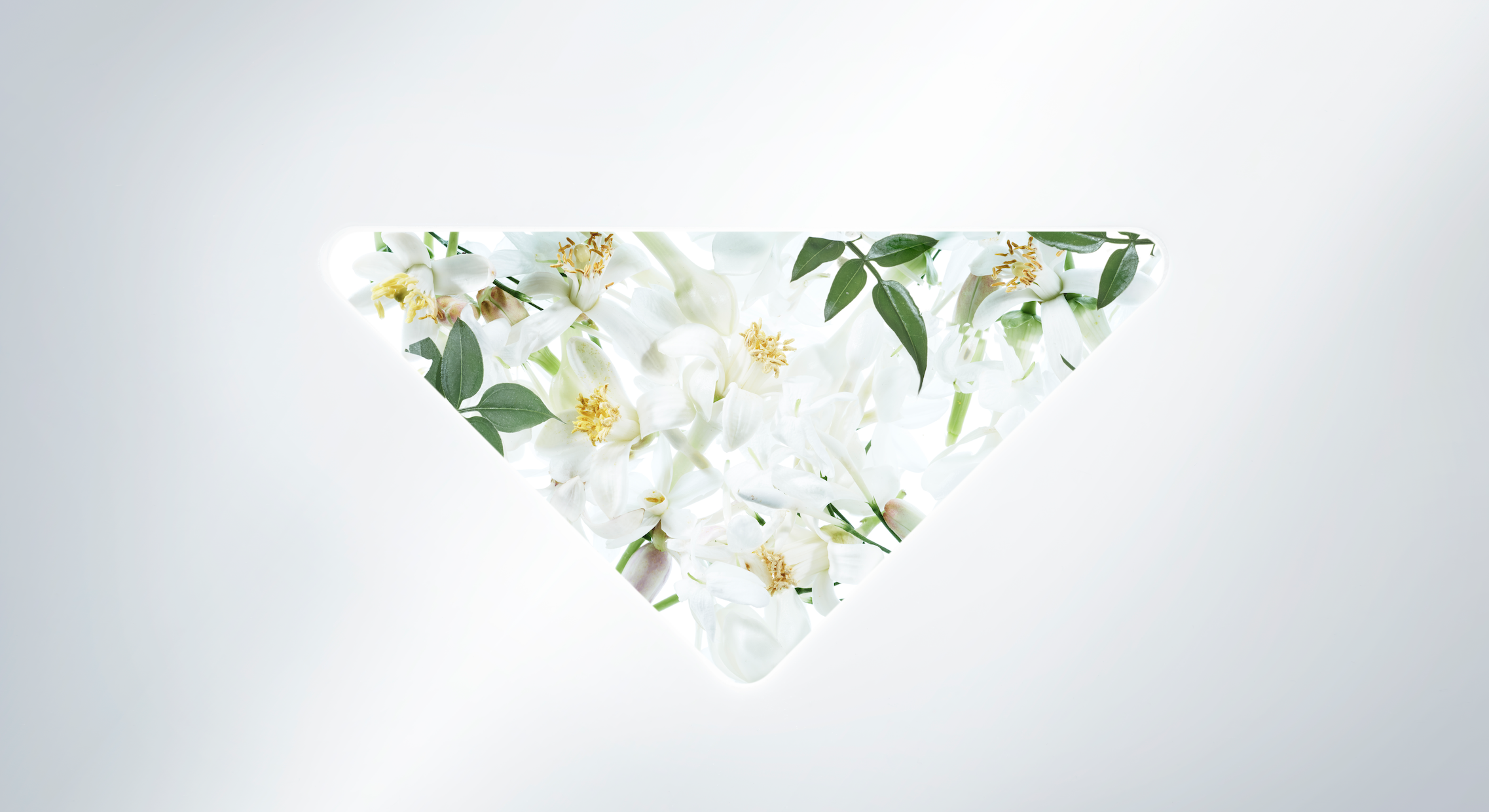 Capture d’écran 2022-09-15 à 10.49.07.png