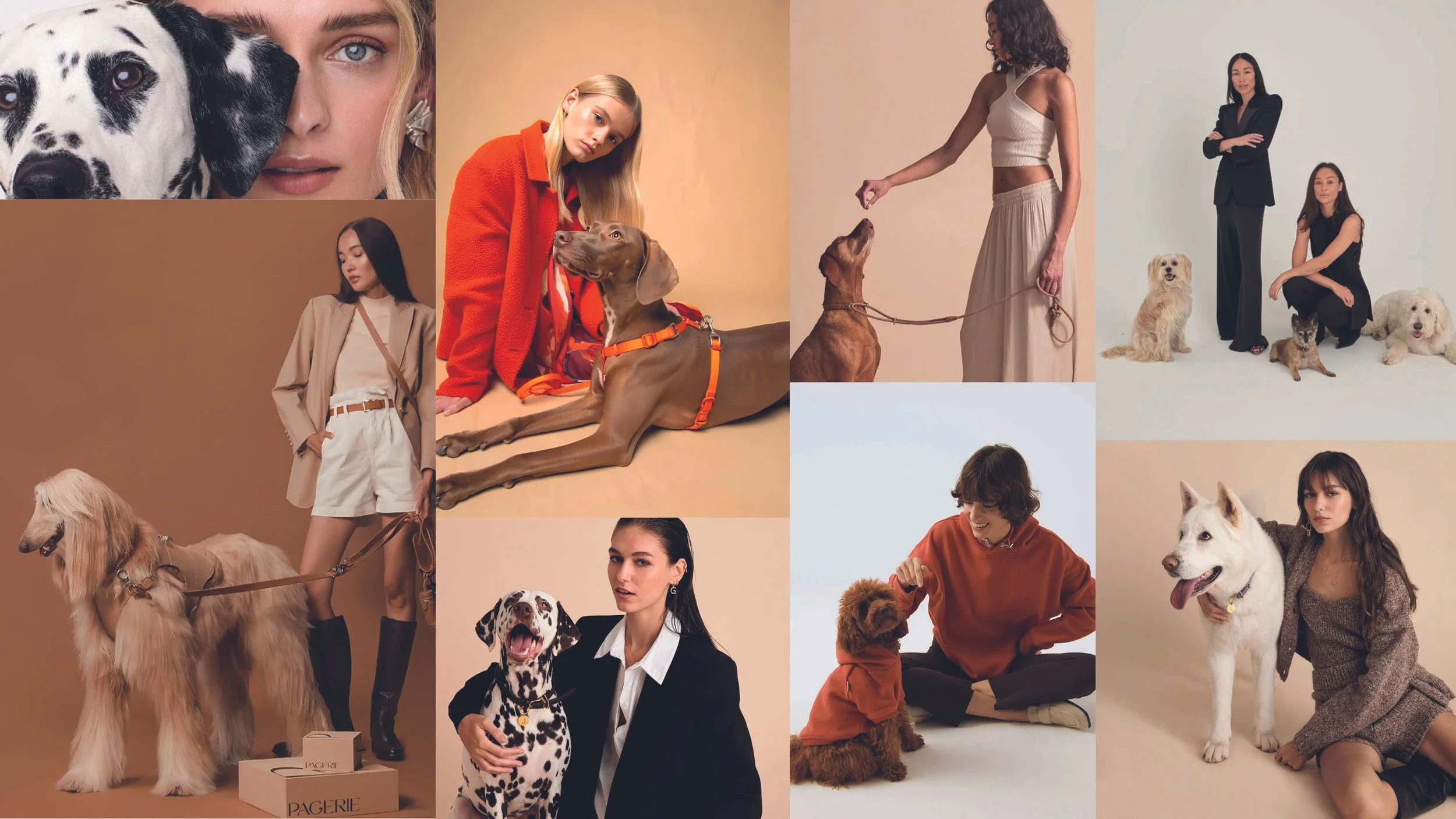 LOGO et COULEURS_2025112615.jpg