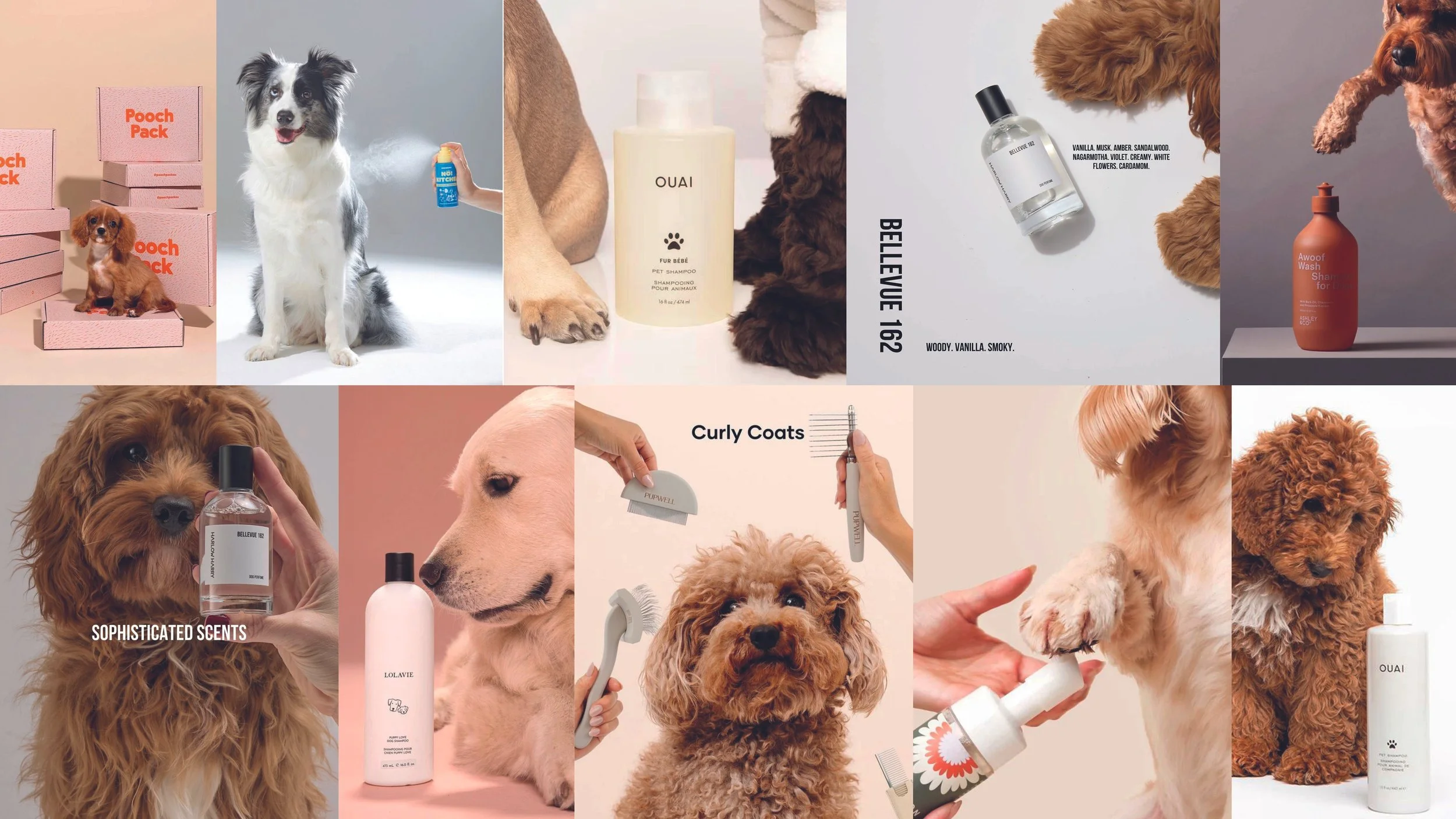 LOGO et COULEURS_2025112616.jpg