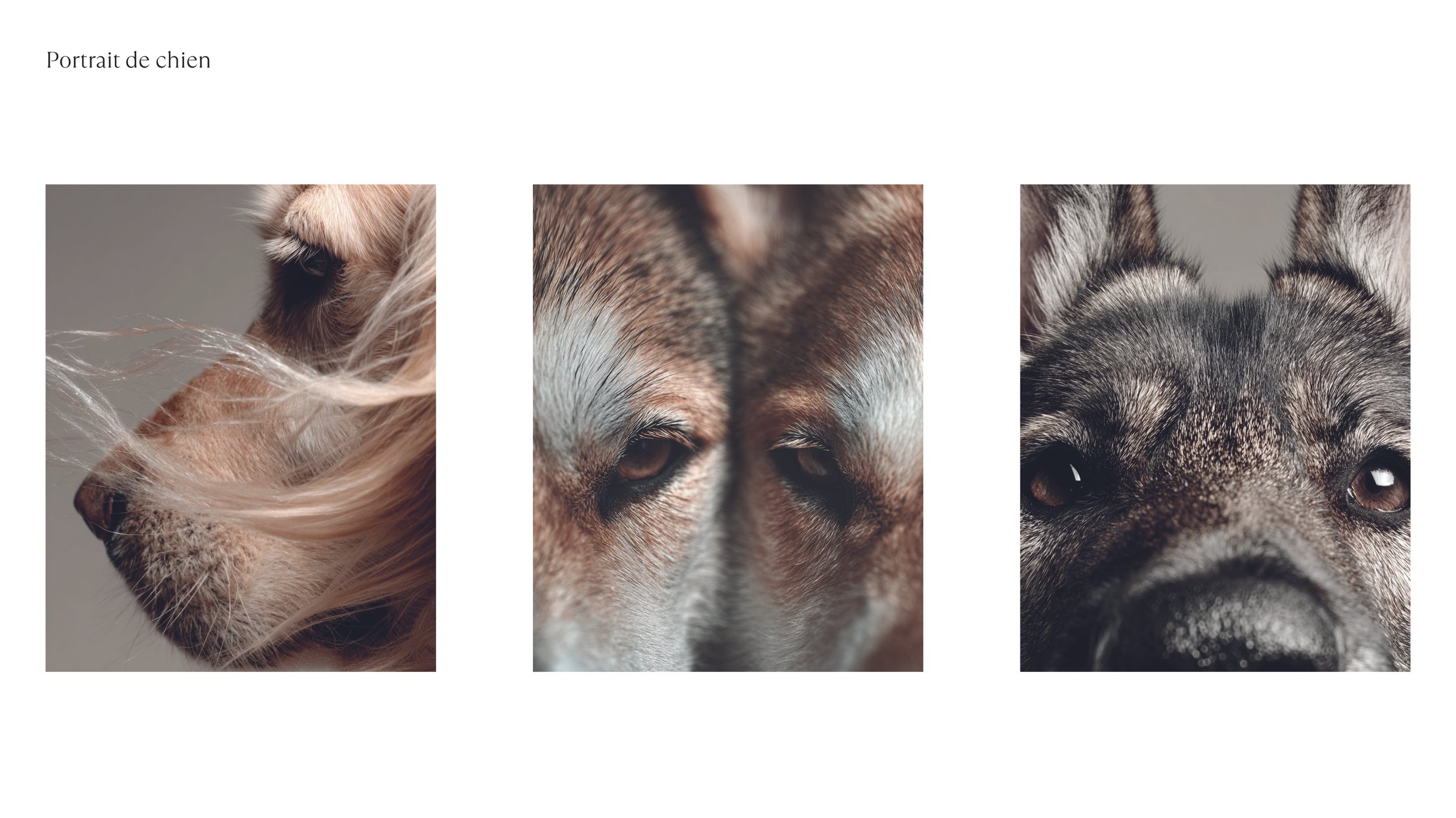 LOGO et COULEURS_2025112631.jpg