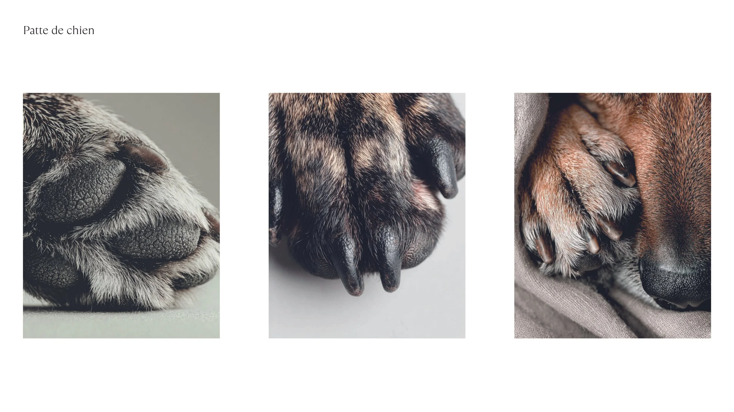 LOGO et COULEURS_2025112635.jpg