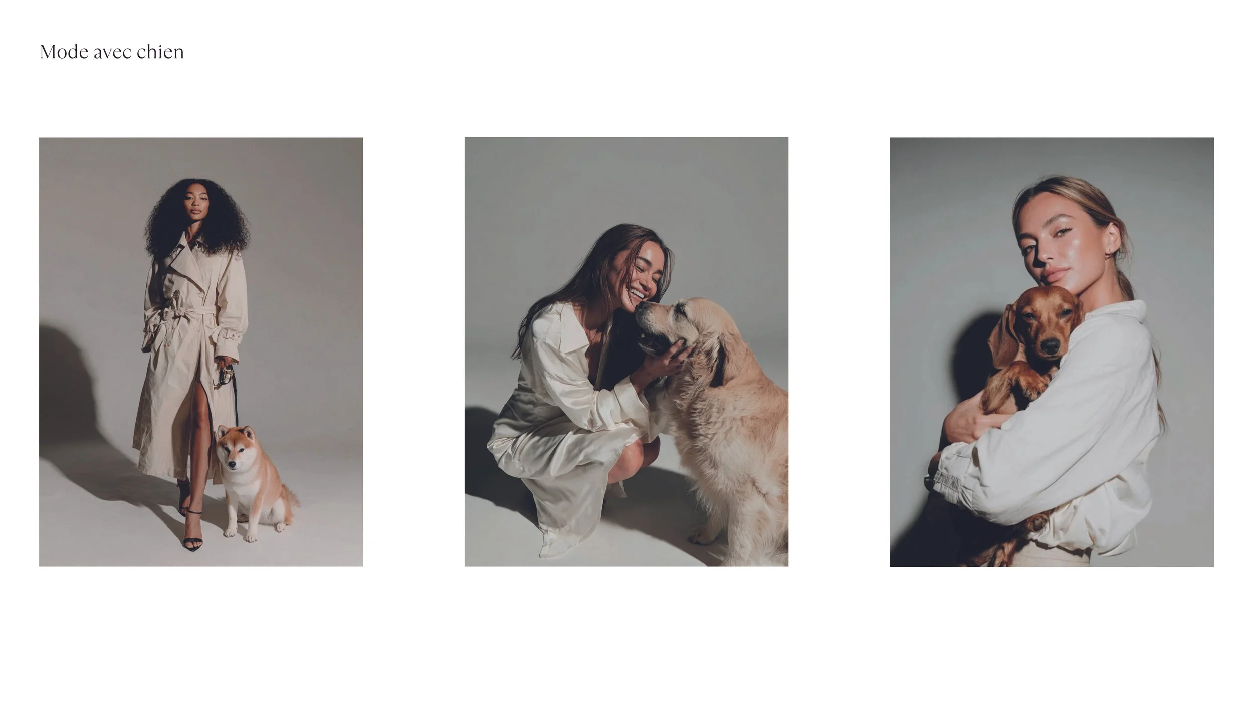 LOGO et COULEURS_2025112638.jpg