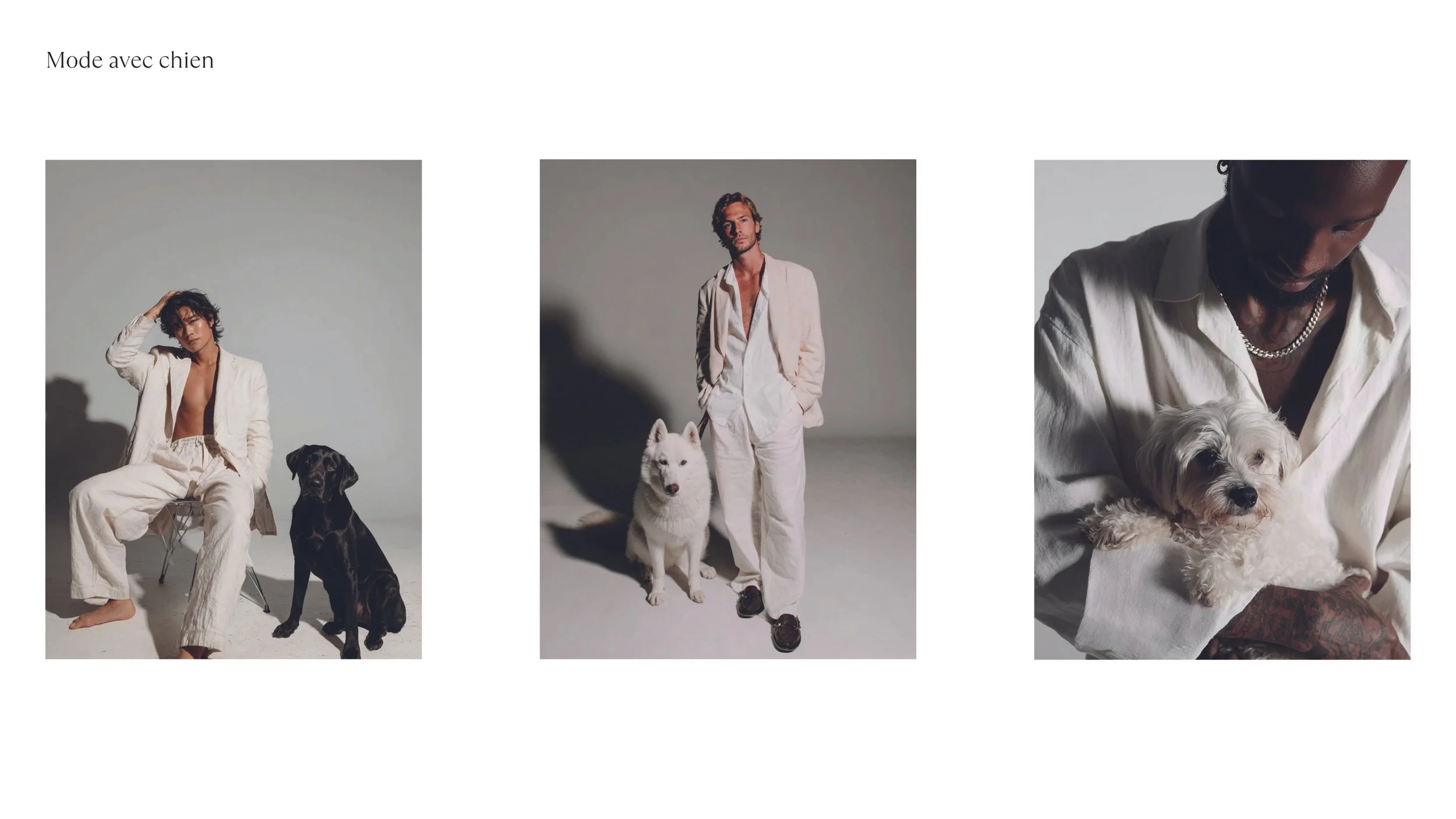 LOGO et COULEURS_2025112639.jpg