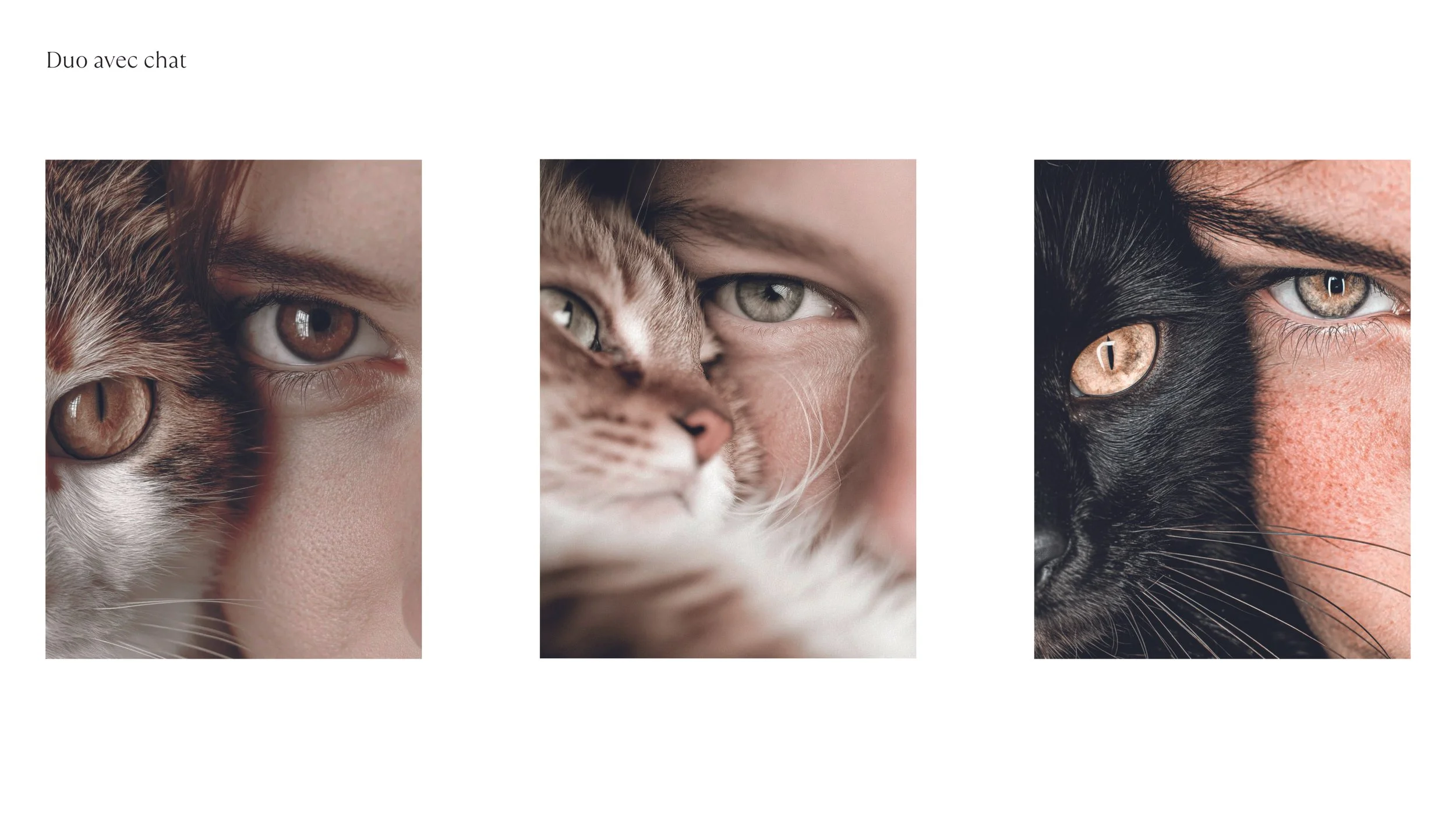 LOGO et COULEURS_2025112646.jpg