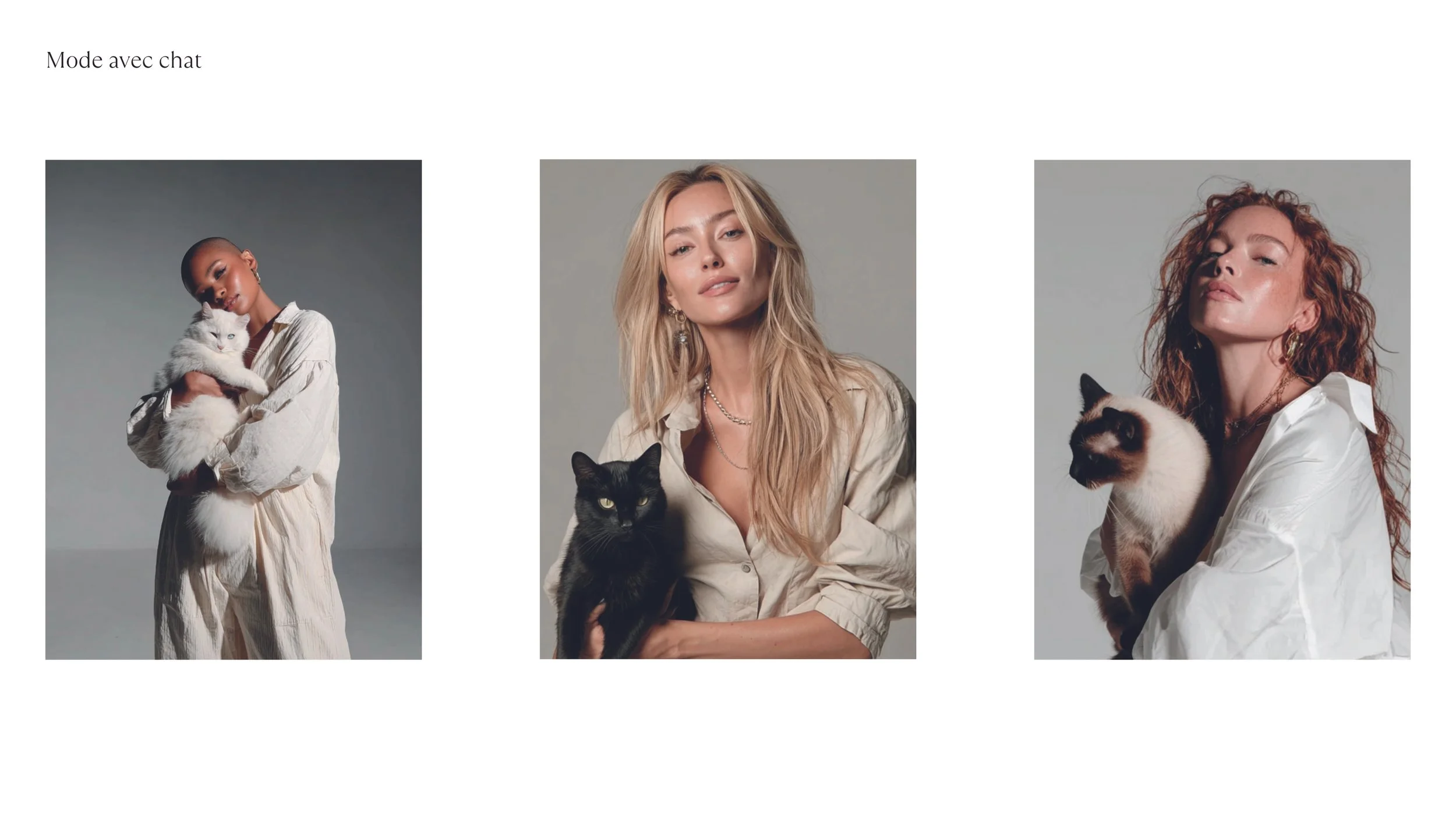 LOGO et COULEURS_2025112647.jpg