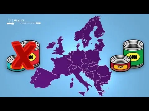 Research Narration - Food & GMO