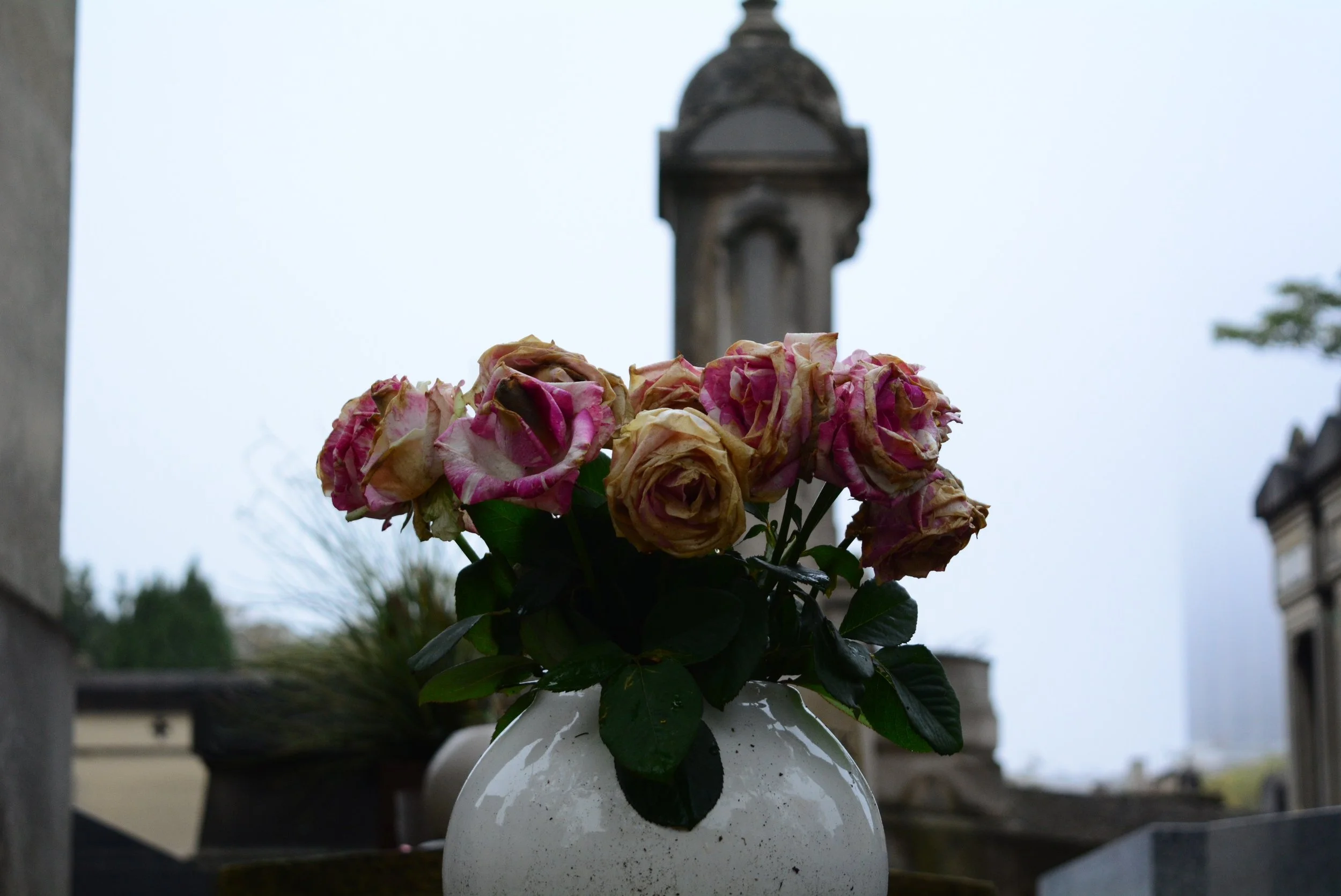 DSC_2843.jpg