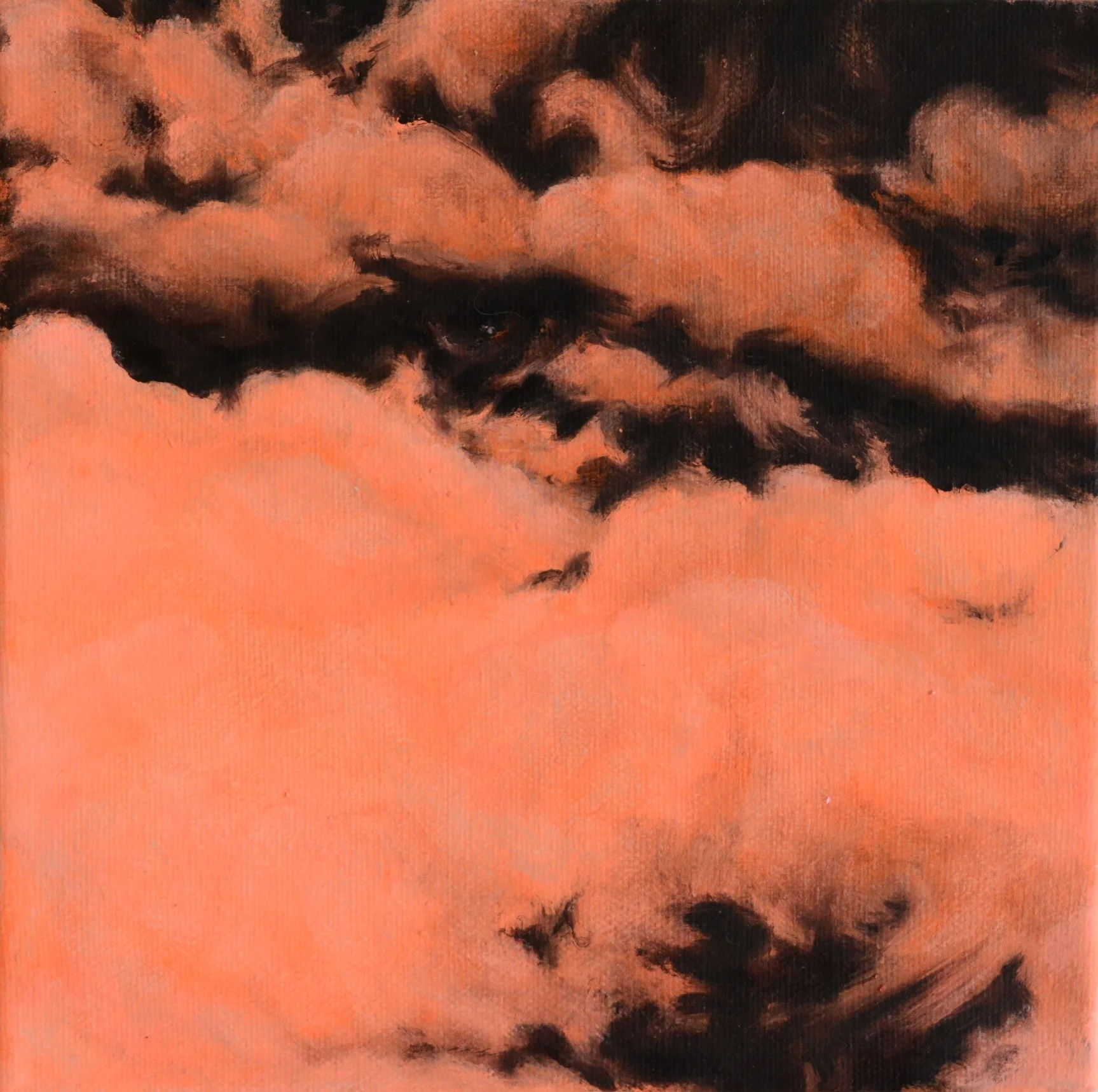 26072600 - 20 x 20 - oil on cotton canvas.JPG