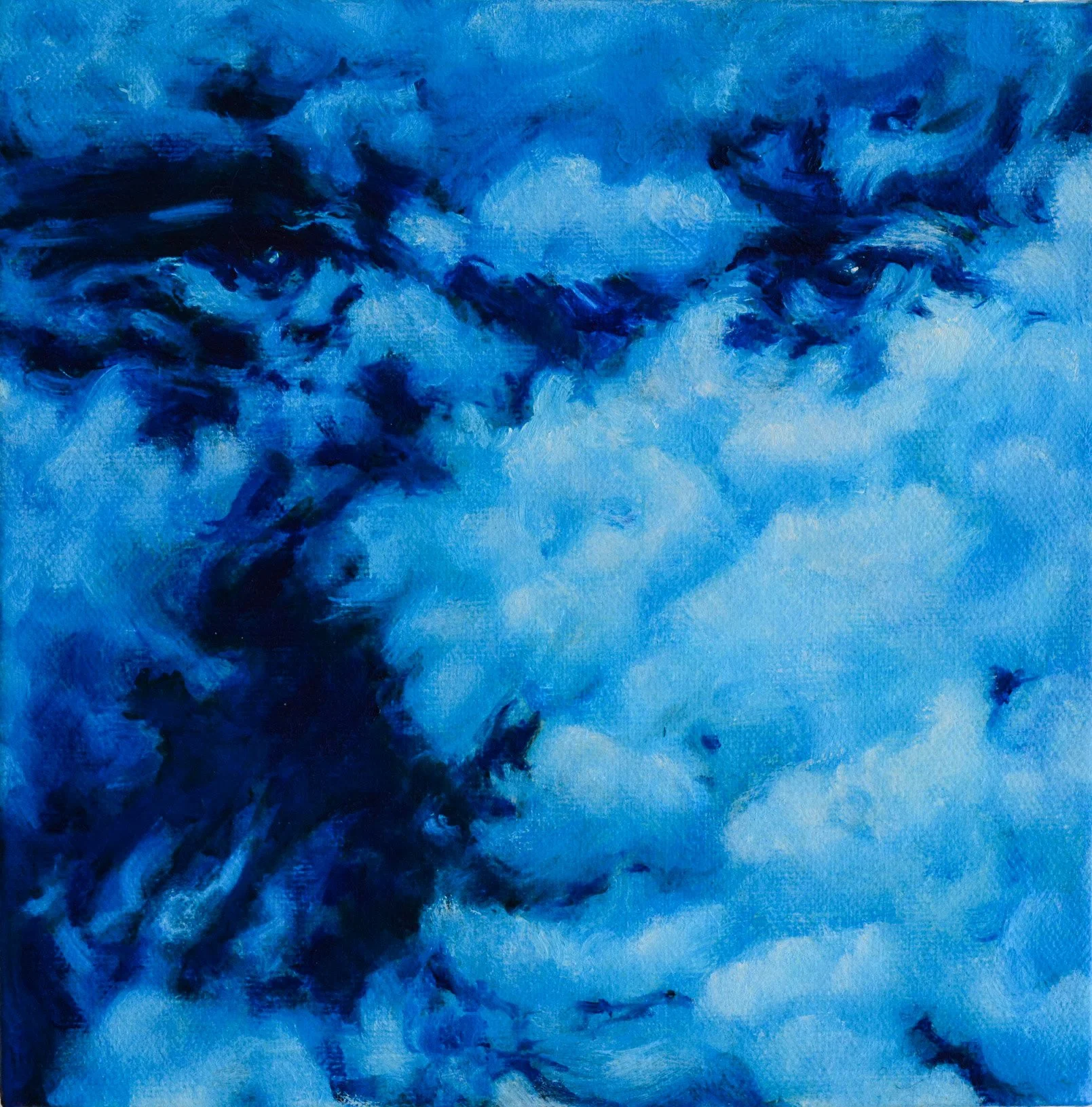 26072603 - 20 x 20 - oil on cotton canvas-2.jpg
