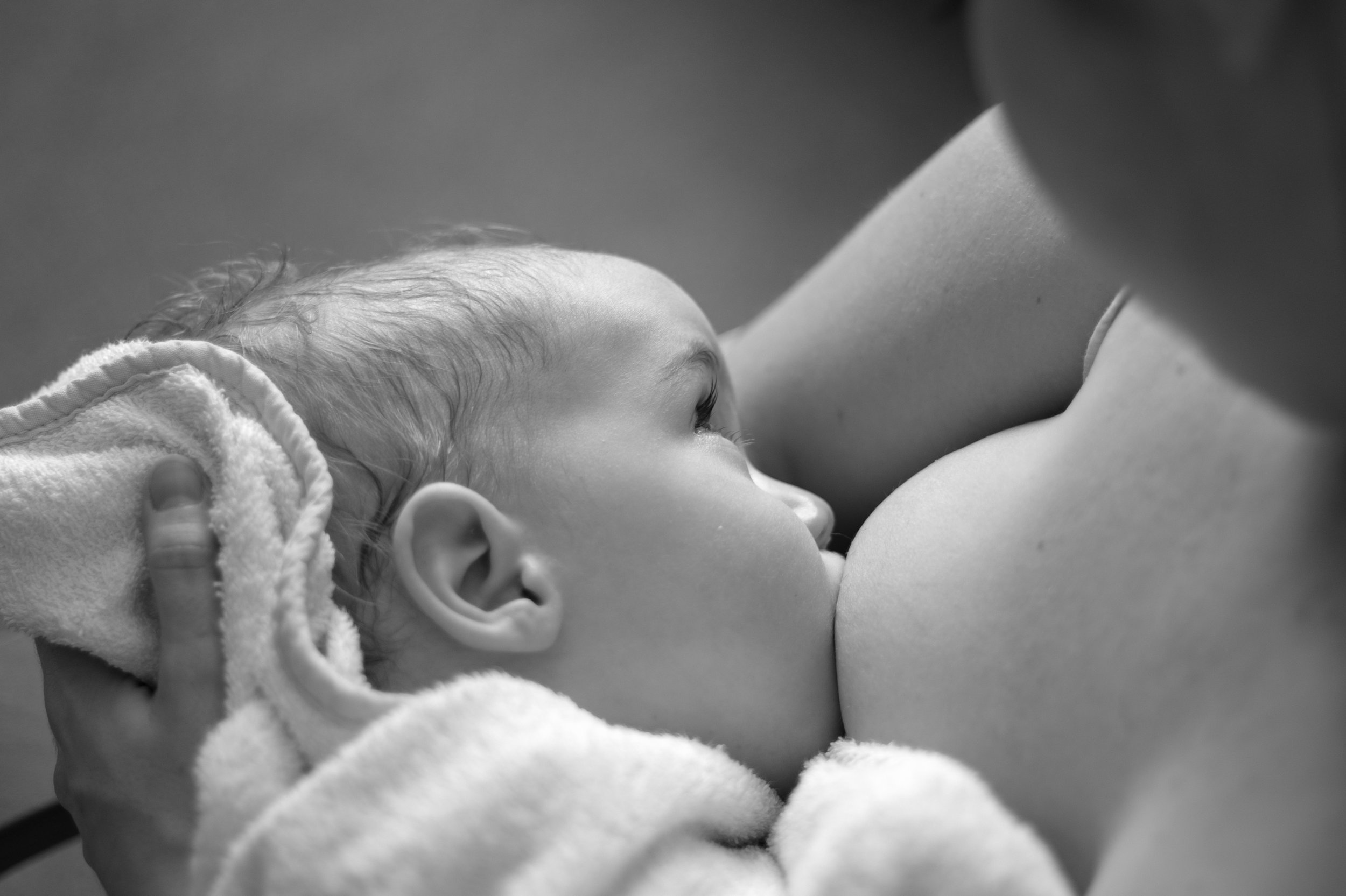 Breastfeeding shoot-2.jpg
