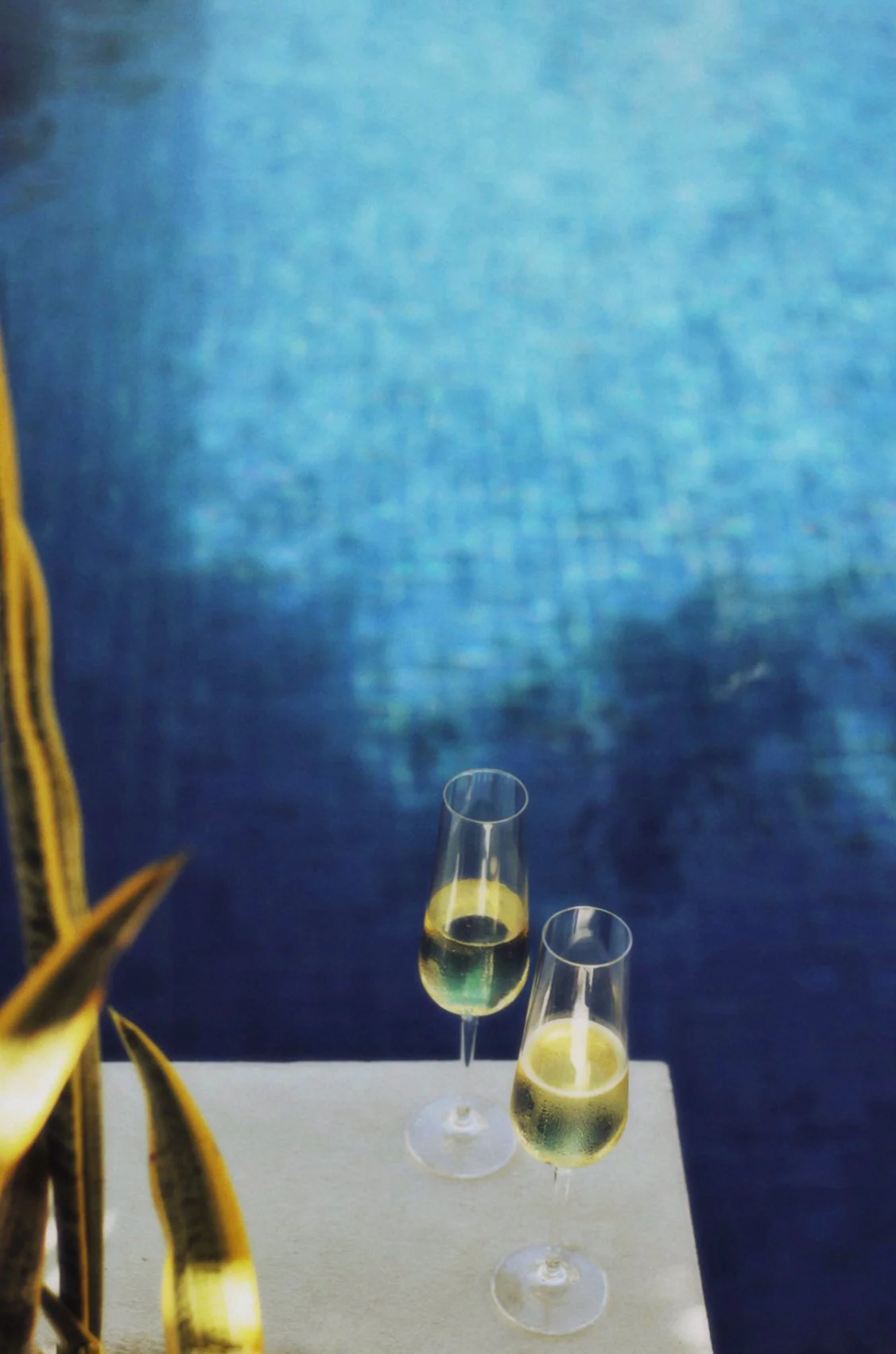 Foto 13-10-23 9 46 01 a. m..jpg