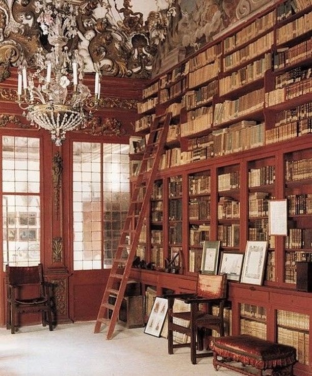 Featured image of post Library In House With Ladder