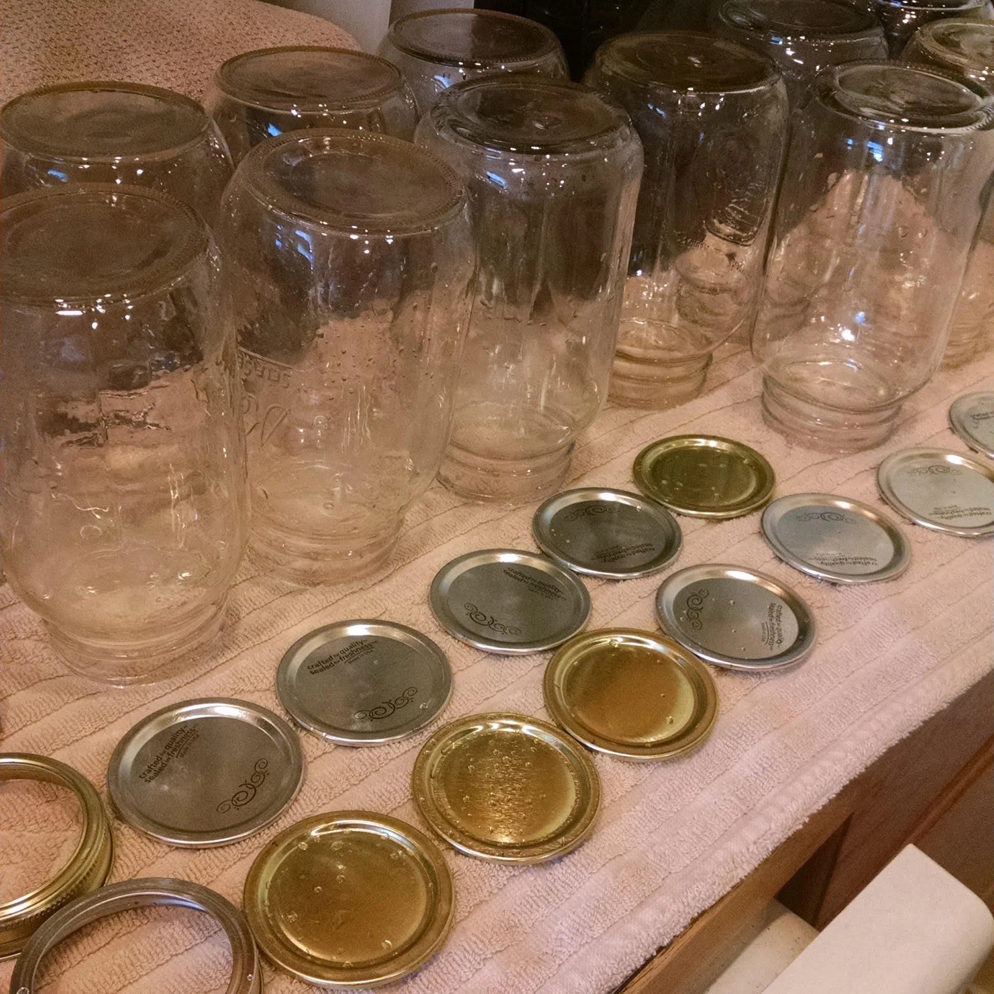 drying jars.jpg