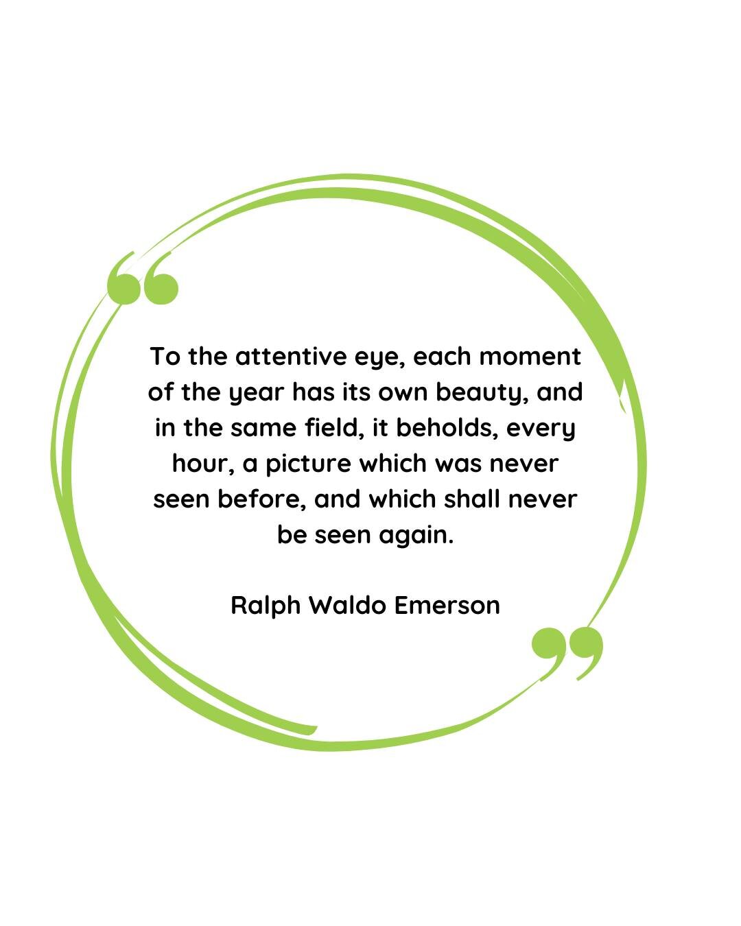 To the attentive eye, each moment of the year has its own beauty, and in the same field, it beholds, every hour, a picture which was never seen before, and which shall never be seen again. - Ralph Waldo Emerson

In our final classes of this half term