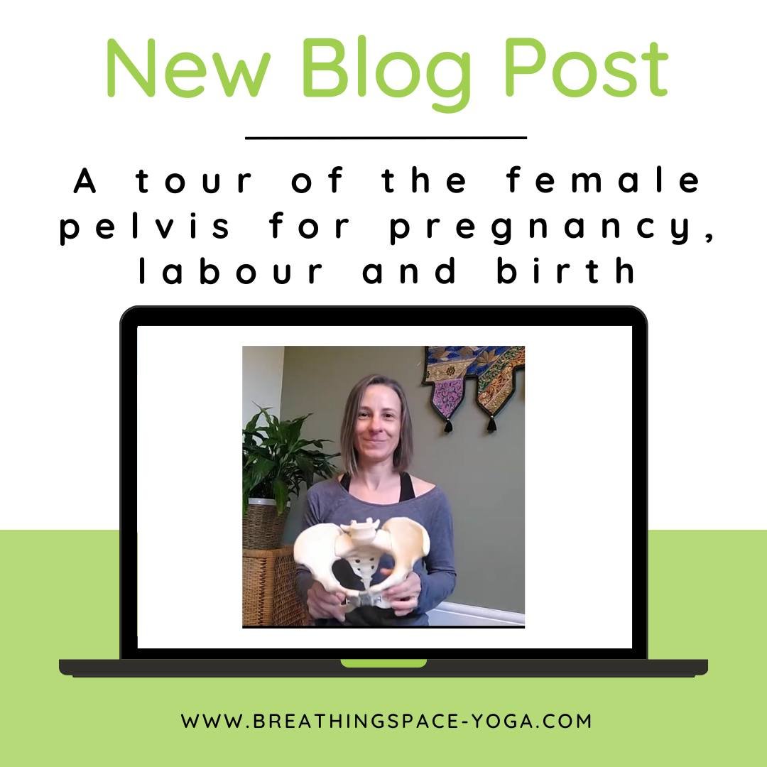 It is really useful to understand more about your pelvis and how it is amazingly built to open for labour and birth, to enable your baby to pass through. 

You may have been experiencing some discomfort during your pregnancy which has made you more a
