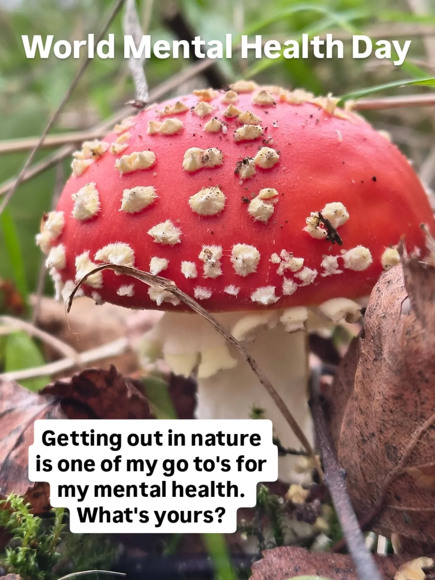 Getting out in nature is one of my go to's for my mental health.  What's yours?

World Mental Health Day 2026

I'm a @mhfaengland Mental Health First Aider in Northwich 

#mentalhealthnorthwich #worldmentalhealthday2025