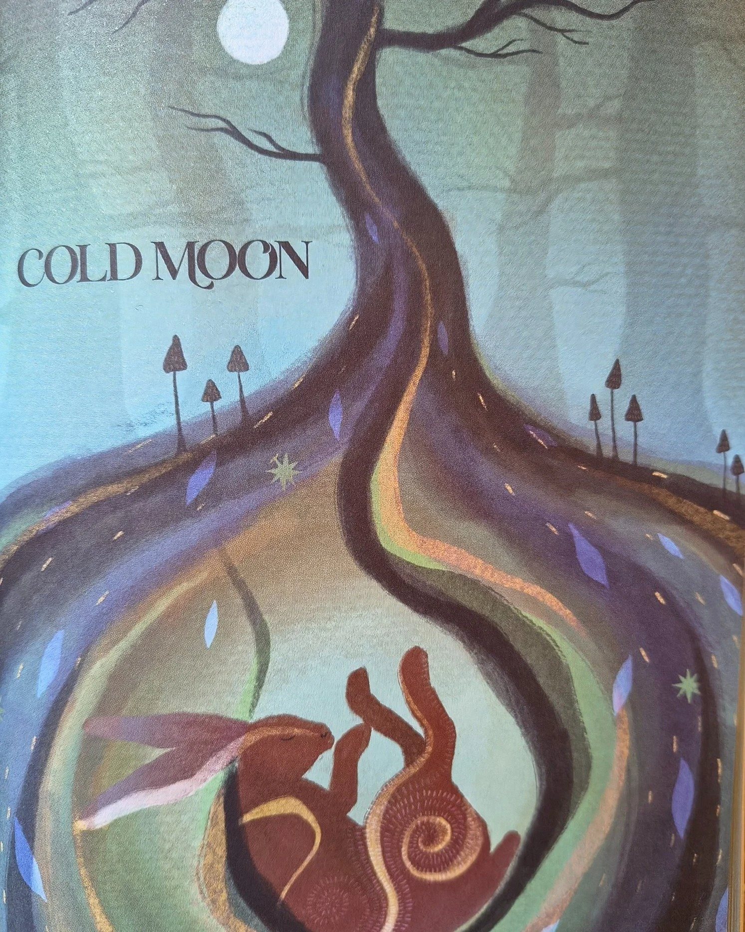 Tonight is the Cold Moon - full moon and supermoon.

Reminding us that we are at the darkest time of the year and it's time to follow nature's lead and rest and hibernate.

So if your festive schedule is busy - where can you find a few minutes to pau