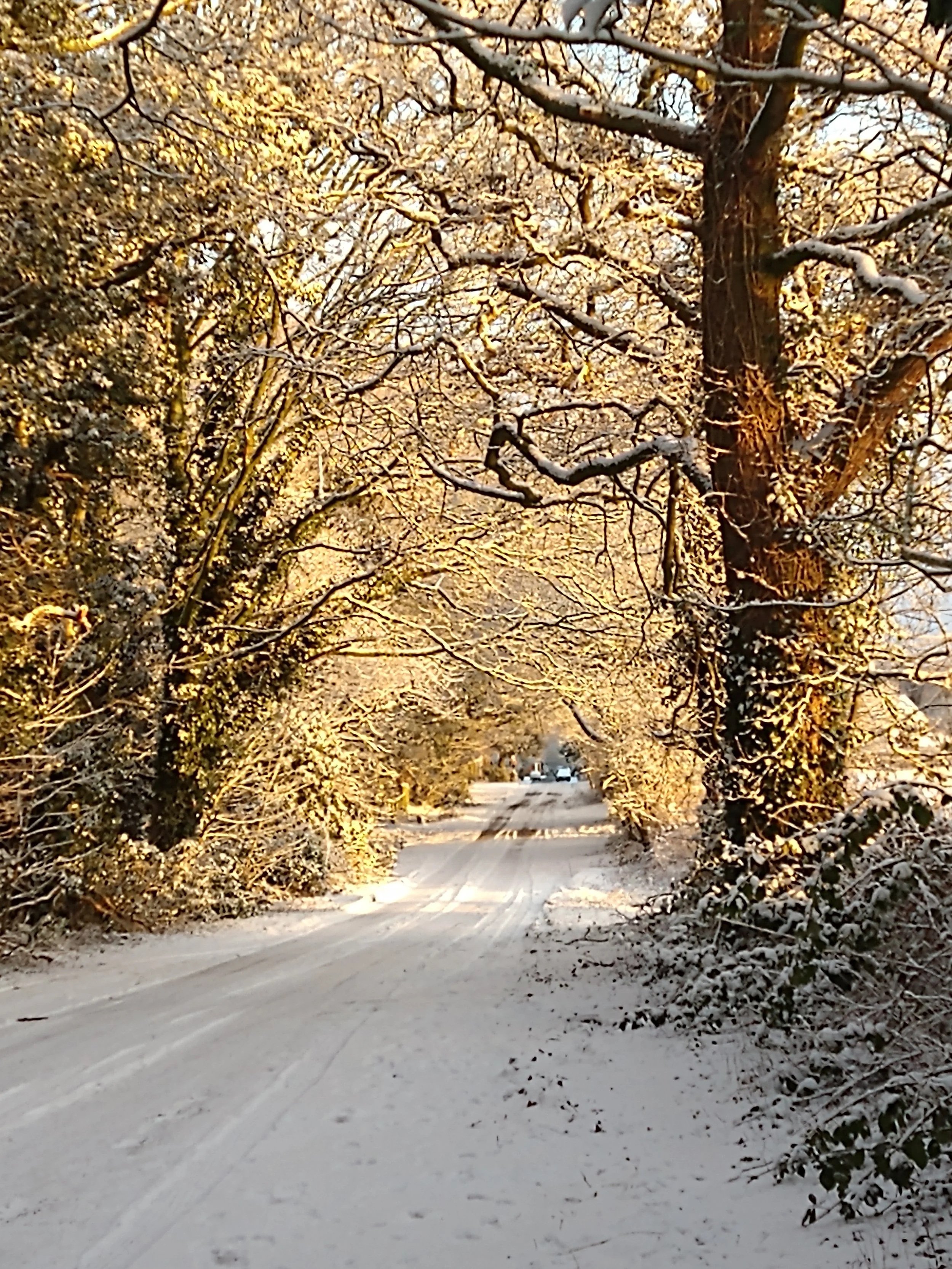 Journal Practice - Prompts for Winter Solstice Reflection 