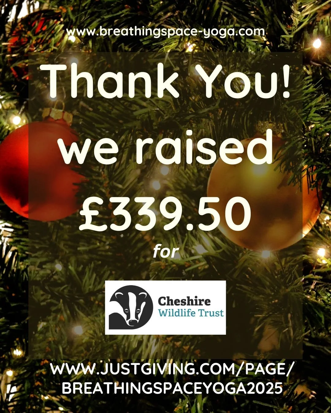 A HUGE thank you to everyone who has donated to our charity this year Cheshire Wildlife Trust. Whether you attended a Christmas yoga class in Northwich, gave a cash donation or donated online. I am so very grateful.

We have raised an amazing &pound;