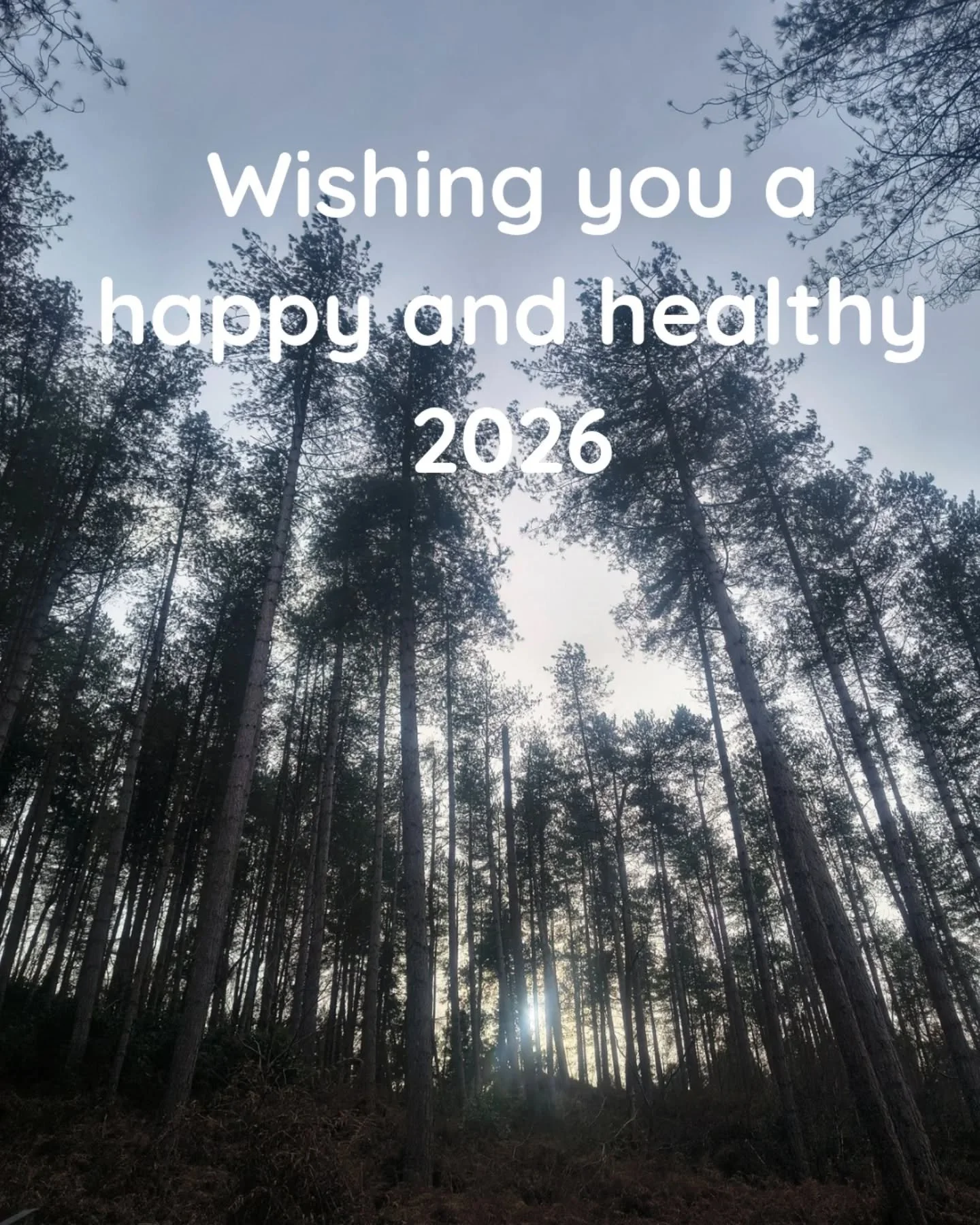 I hope your first day of 2026 has gone well.
This picture was taken on our New Year's Day walk this morning - the sun peeking through the trees, welcoming the year ahead.

Remember that you are perfect, and you are enough - this may be a new calendar