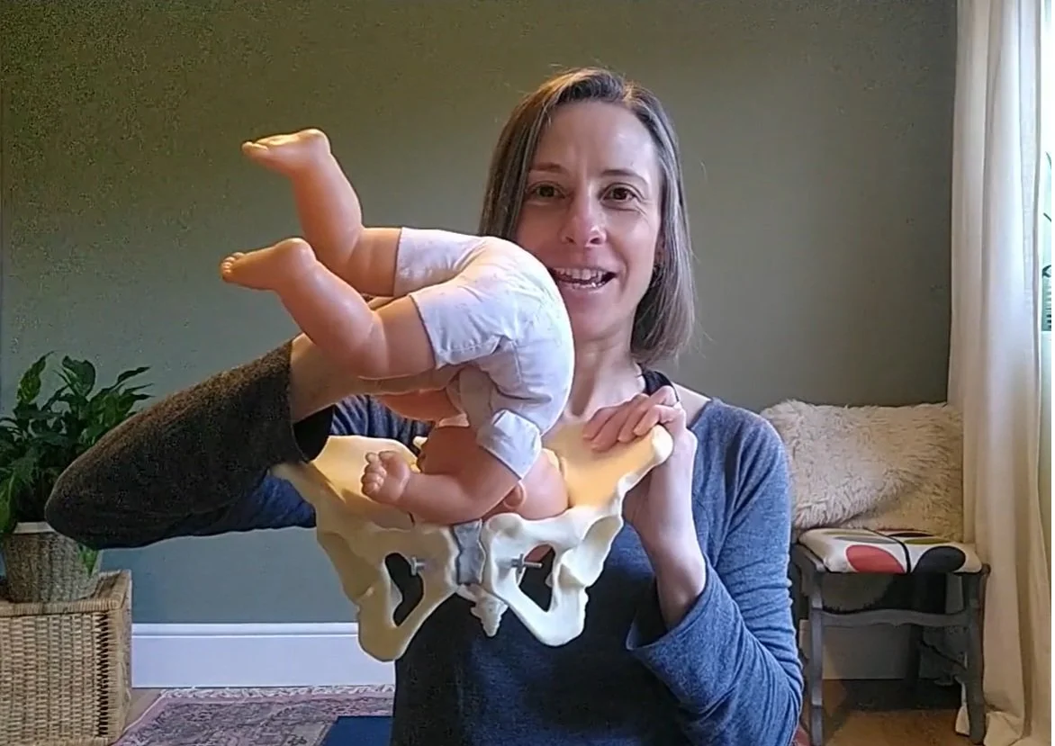 Optimal Foetal Position for Baby for Labour and Birth Breathing Space Pregnancy Yoga Northwich