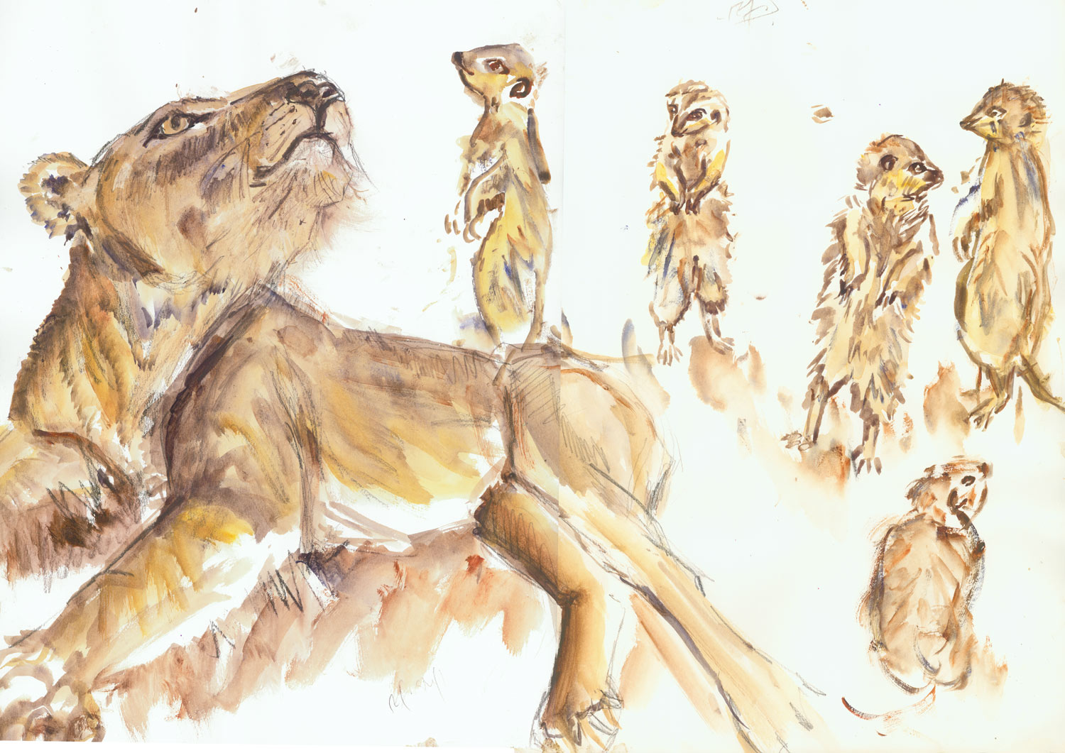 col-zoo-lion-&-marmots-copy.jpg