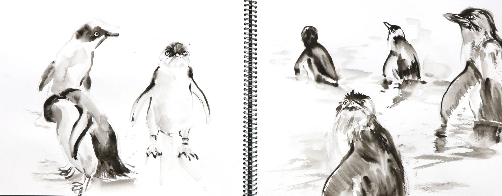 penguins.jpg