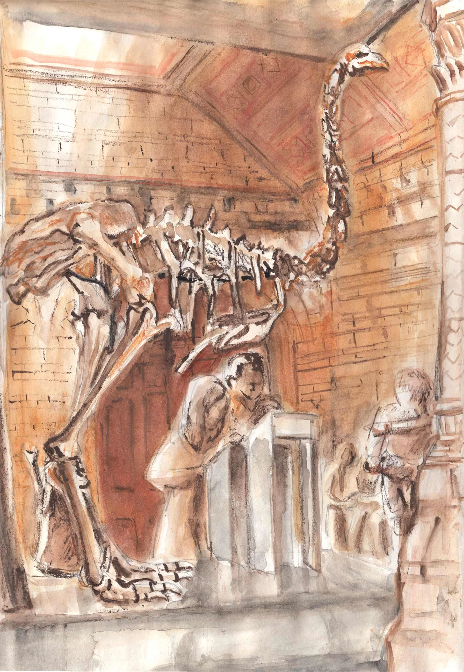 moa-copy.jpg